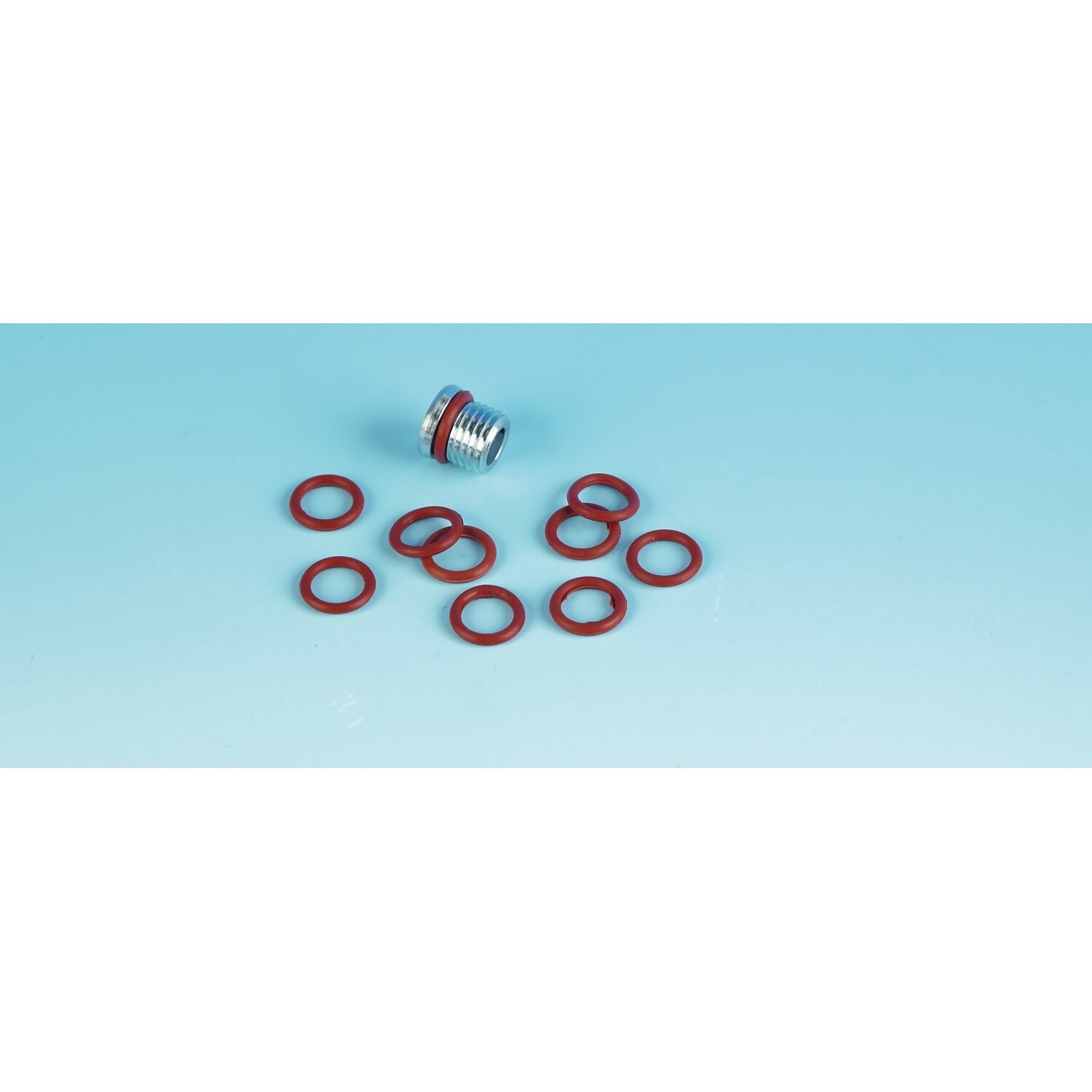 James, o-ring primary drain plug. Viton