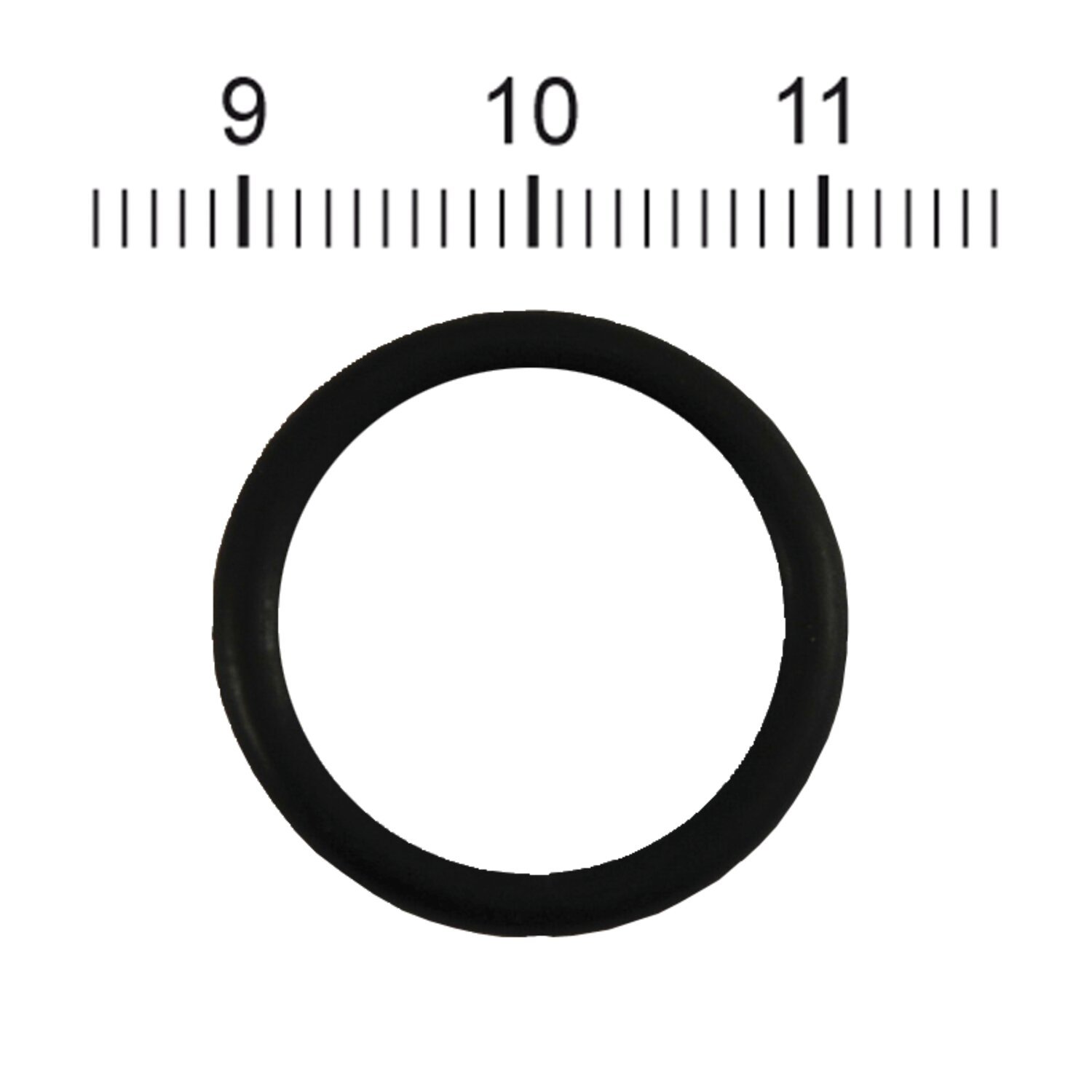 Gaskets & Seals