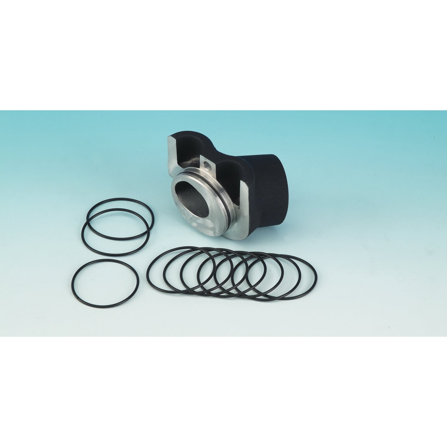 James o-ring, transmission oil spout assembly