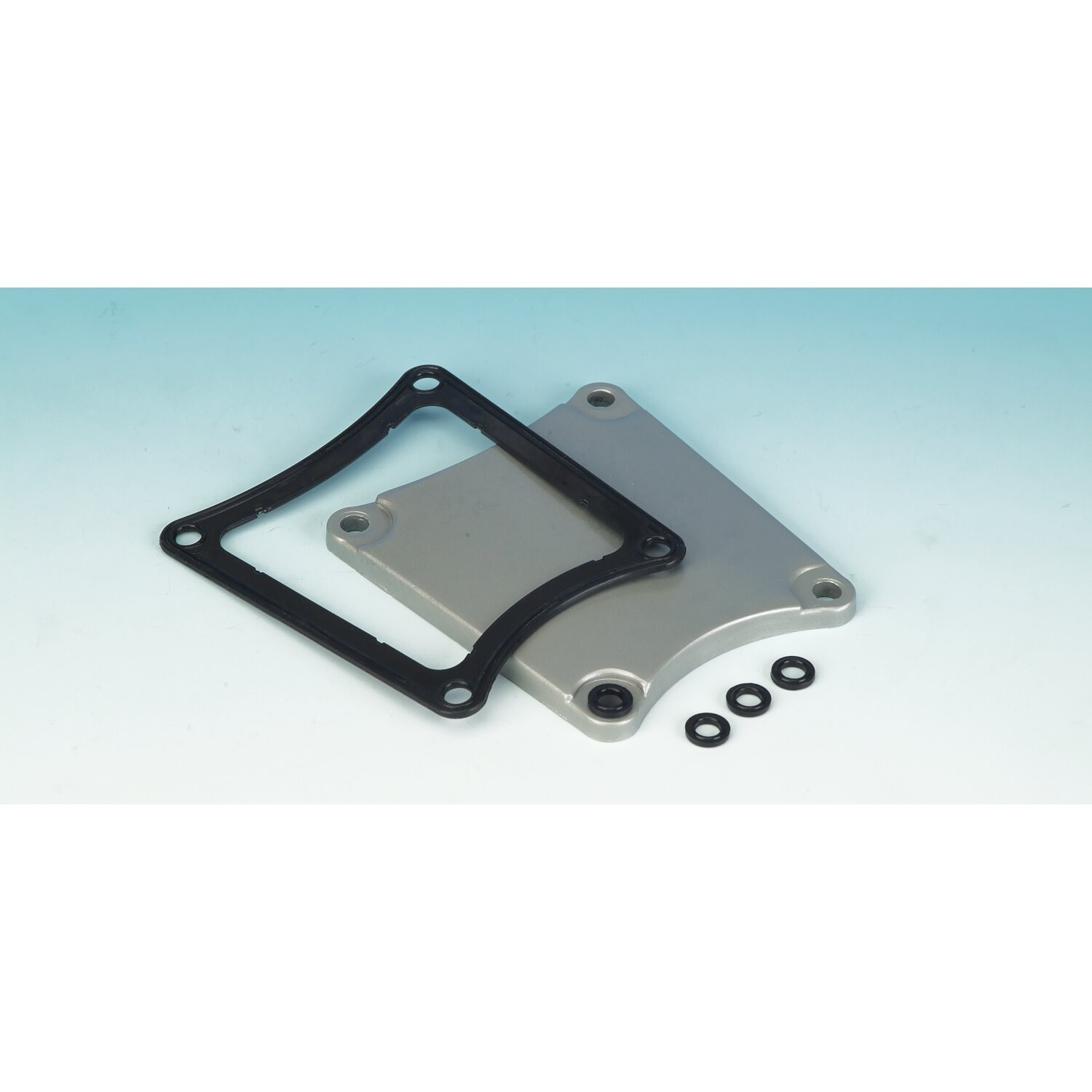 James, gasket inspection cover. RCM