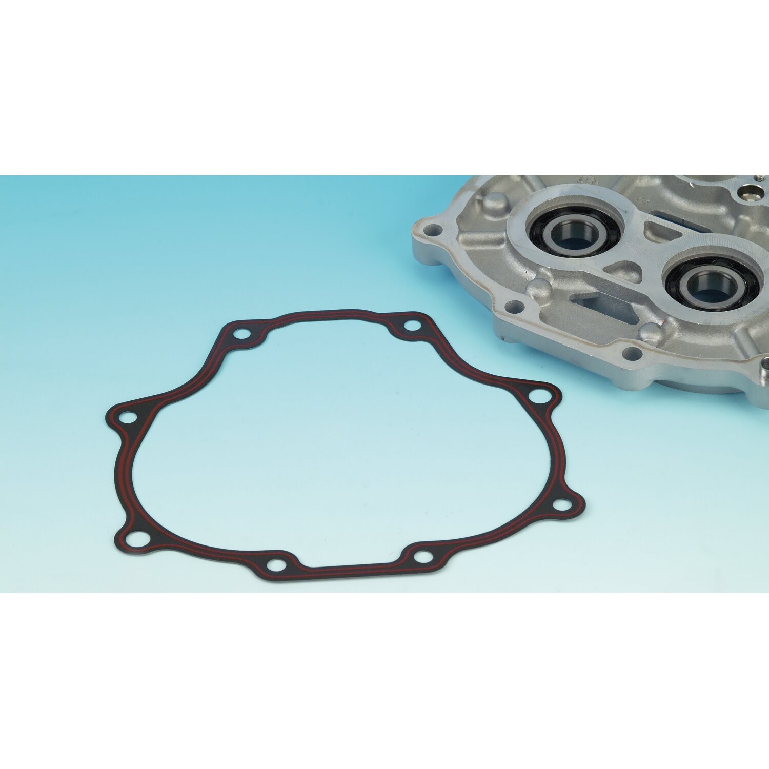 James, gasket transmission bearing housing. RCM/silicone
