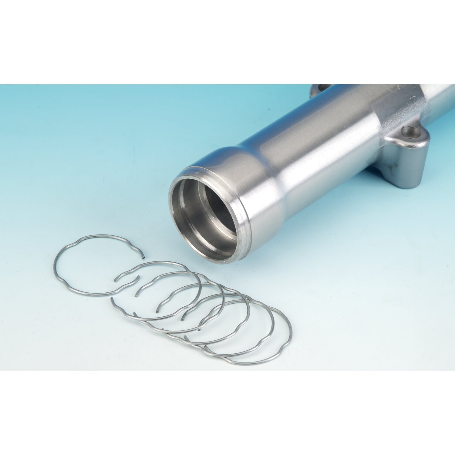 James, retaining ring for fork seal