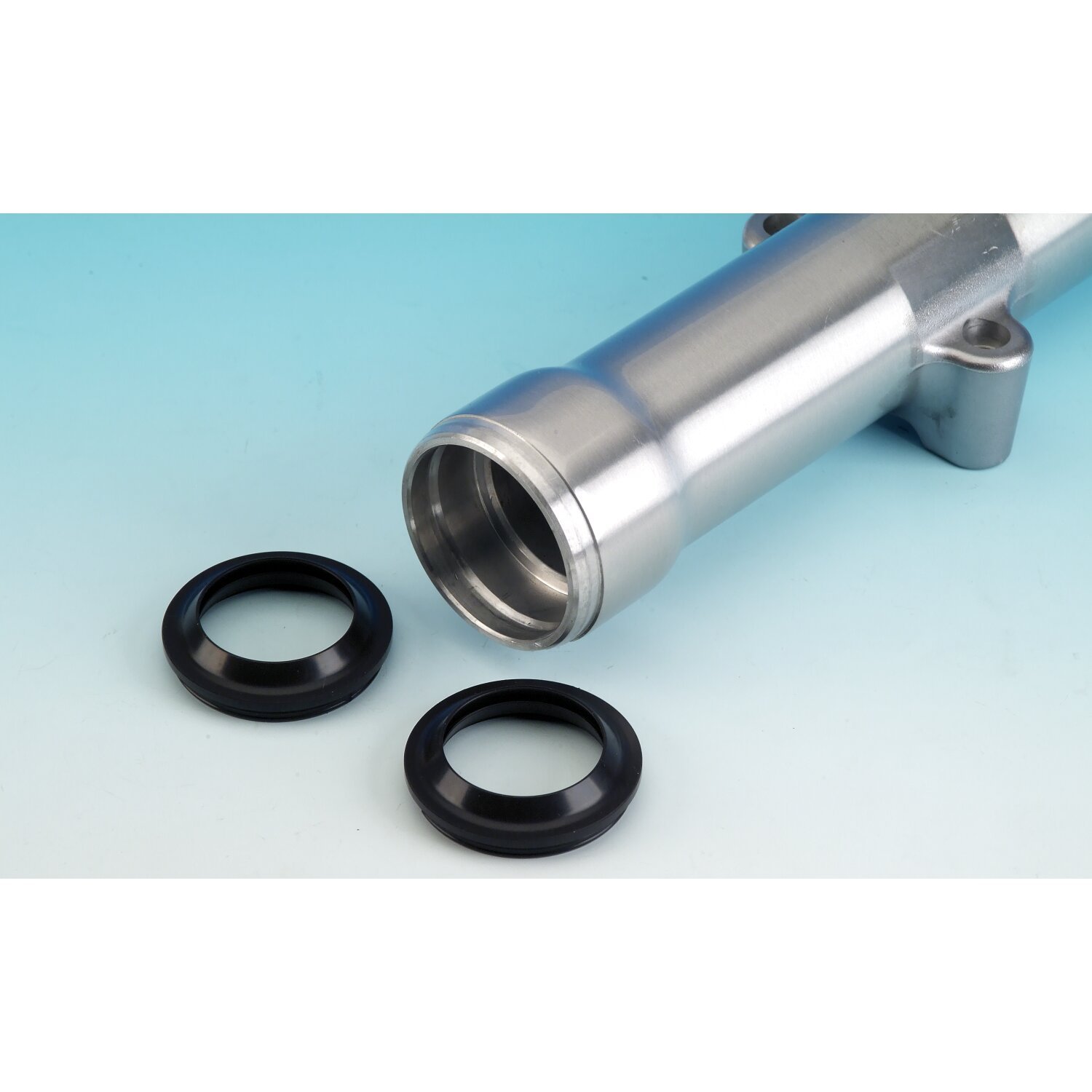 James, dust seal fork slider. 41mm