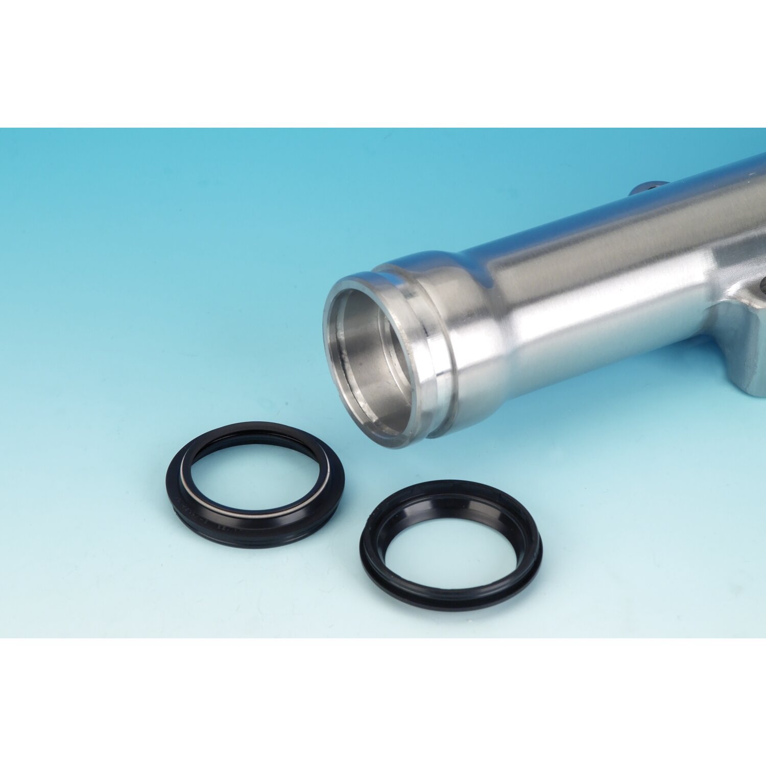 James, dust seal fork slider