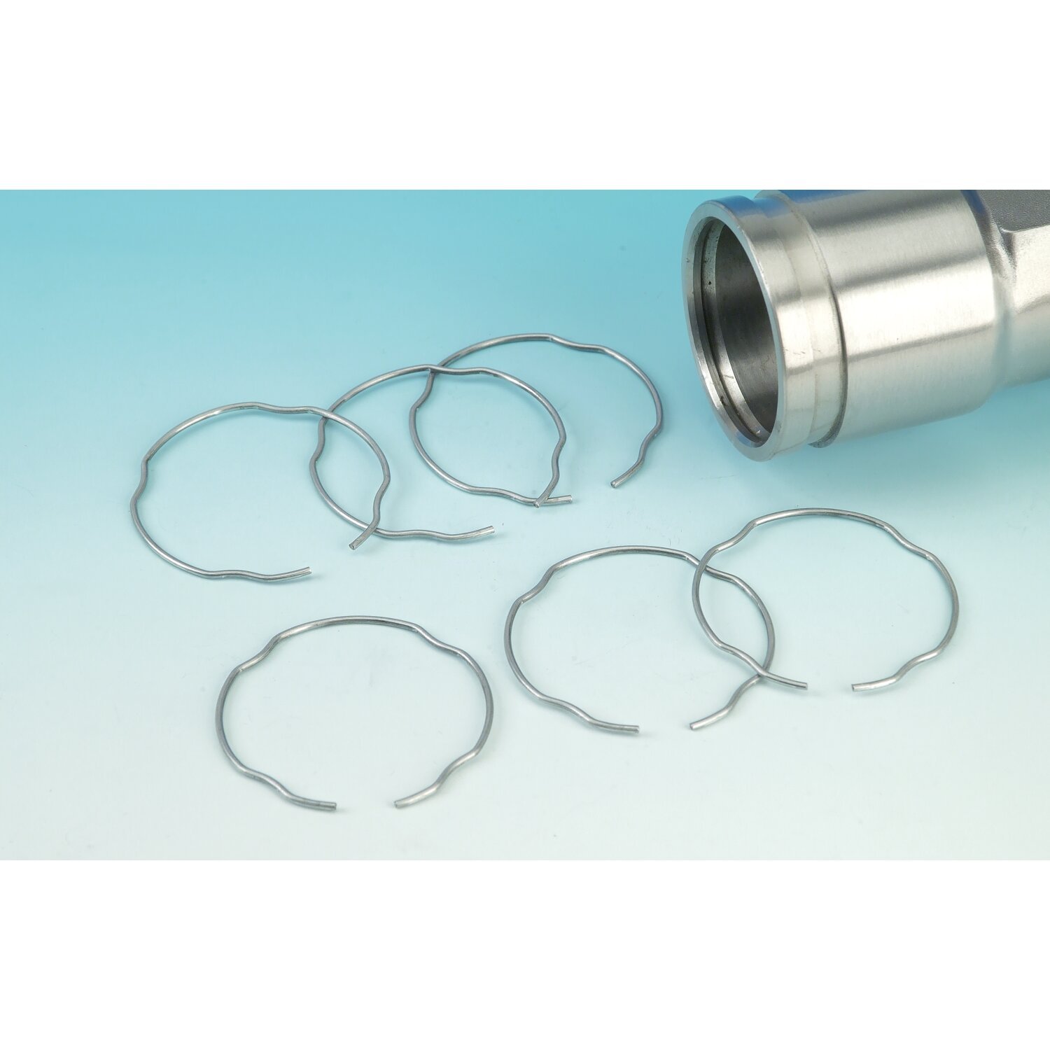 James, retaining ring for fork seal