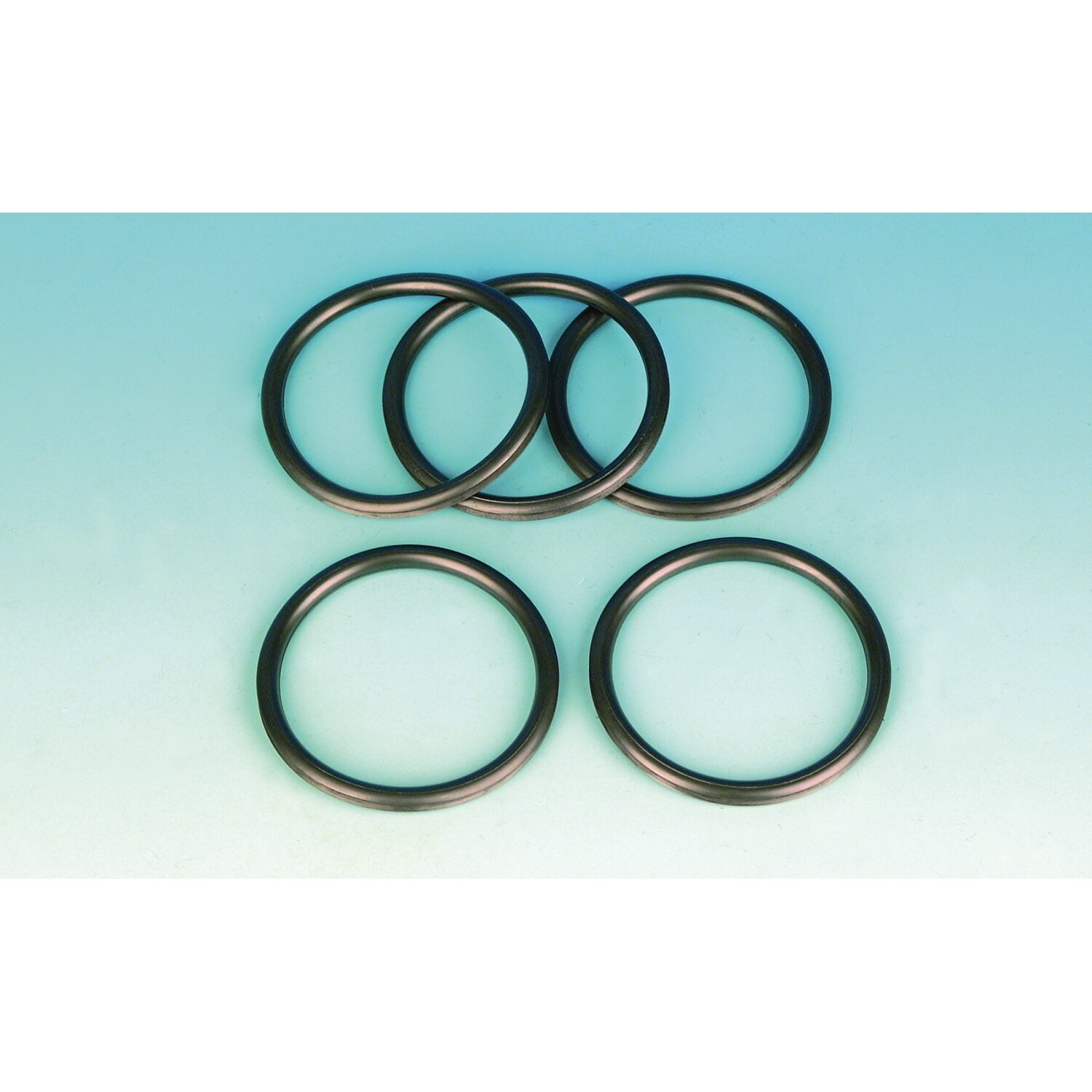 James, fuel gauge tank mount o-ring