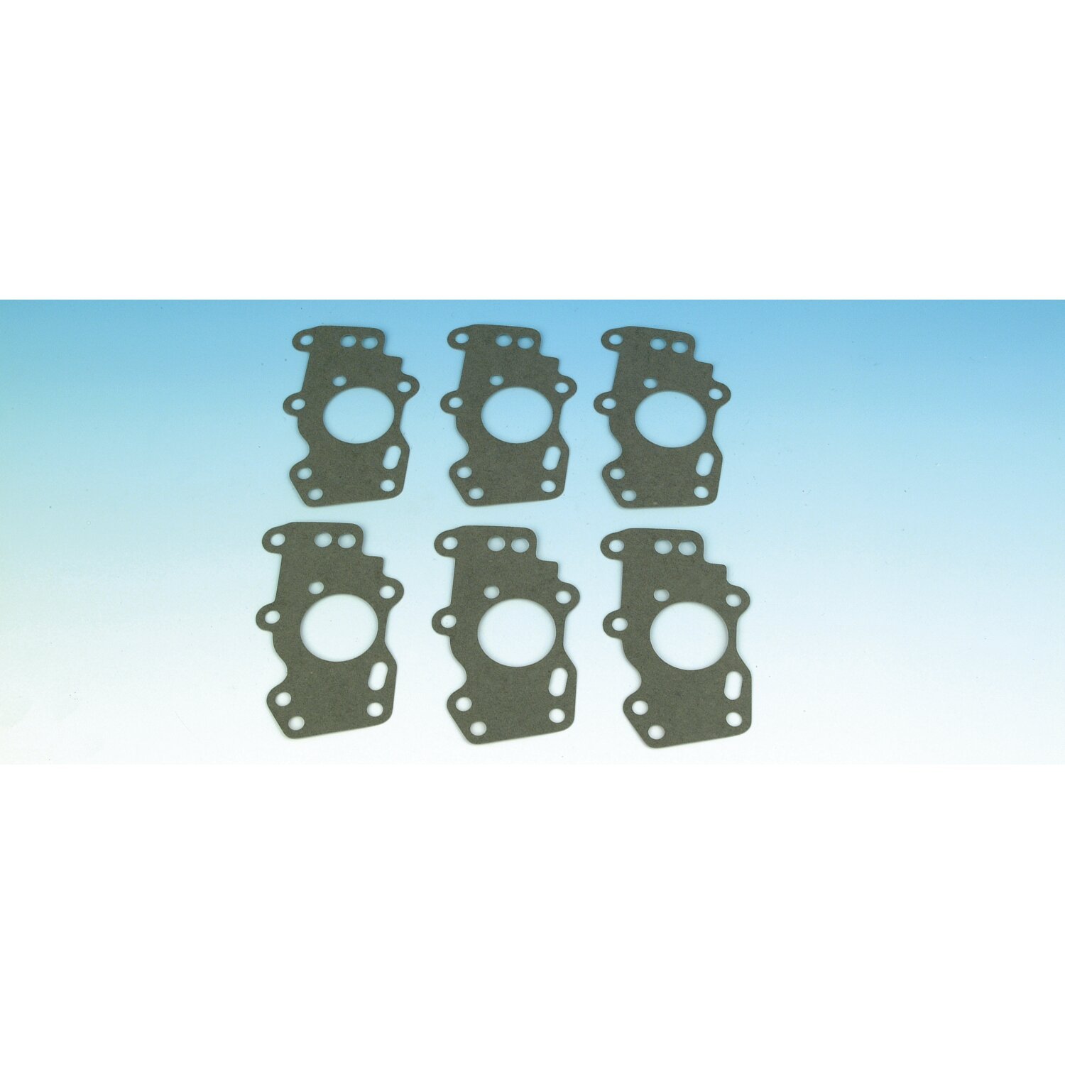 James, oil pump body to outer cover gasket