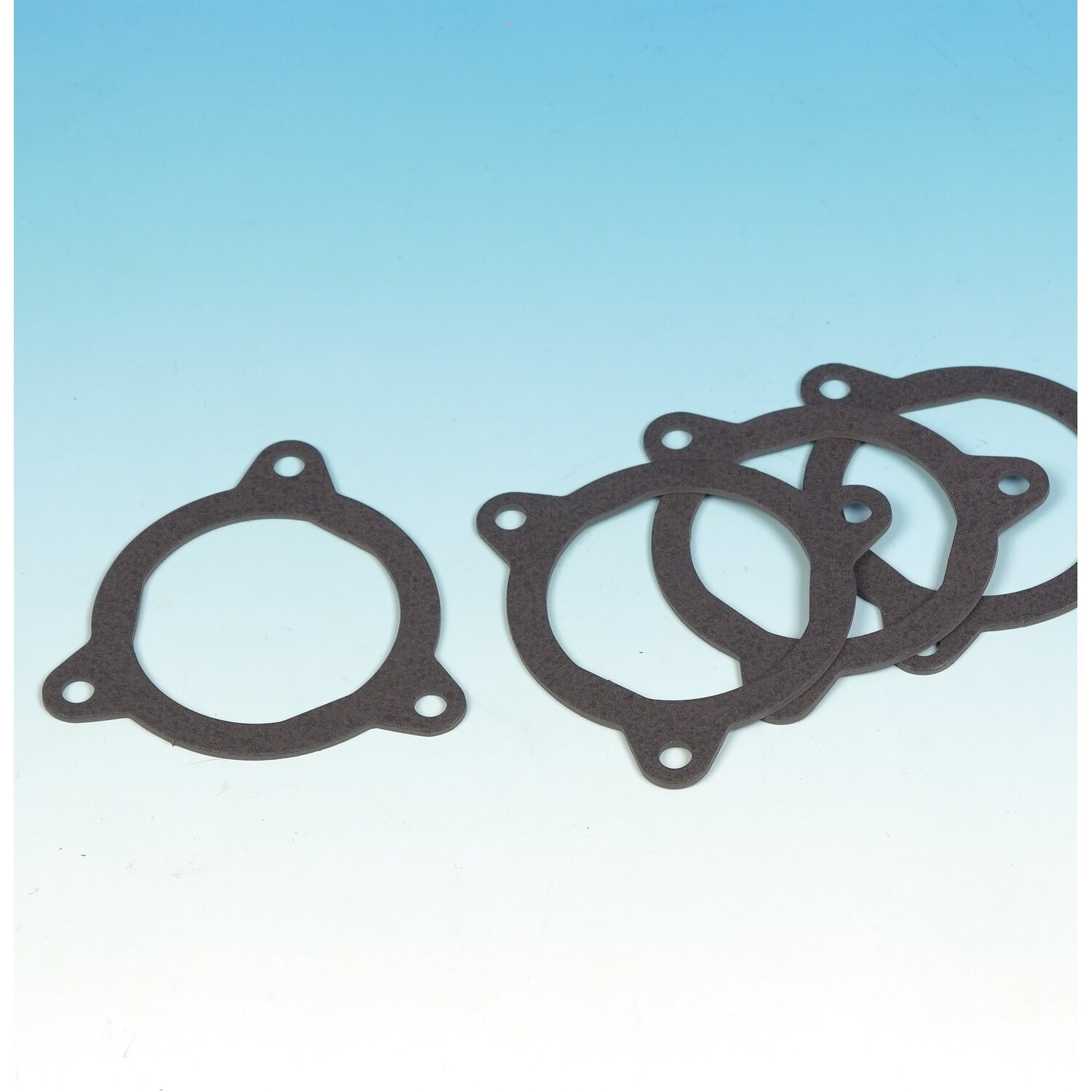 James, aircleaner backplate to filter element gasket. Foamet
