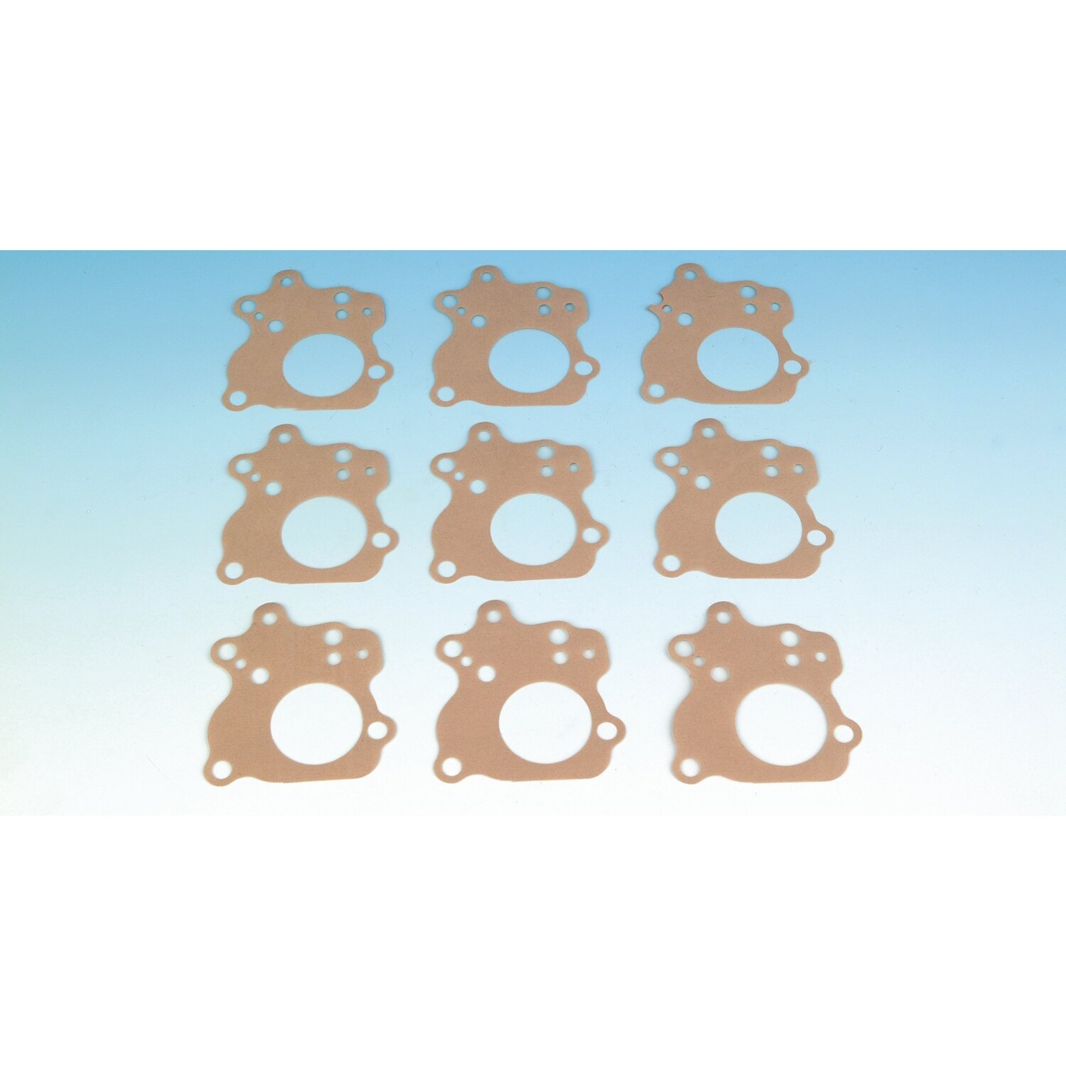 James, oil pump cover plate to body gasket. Paper