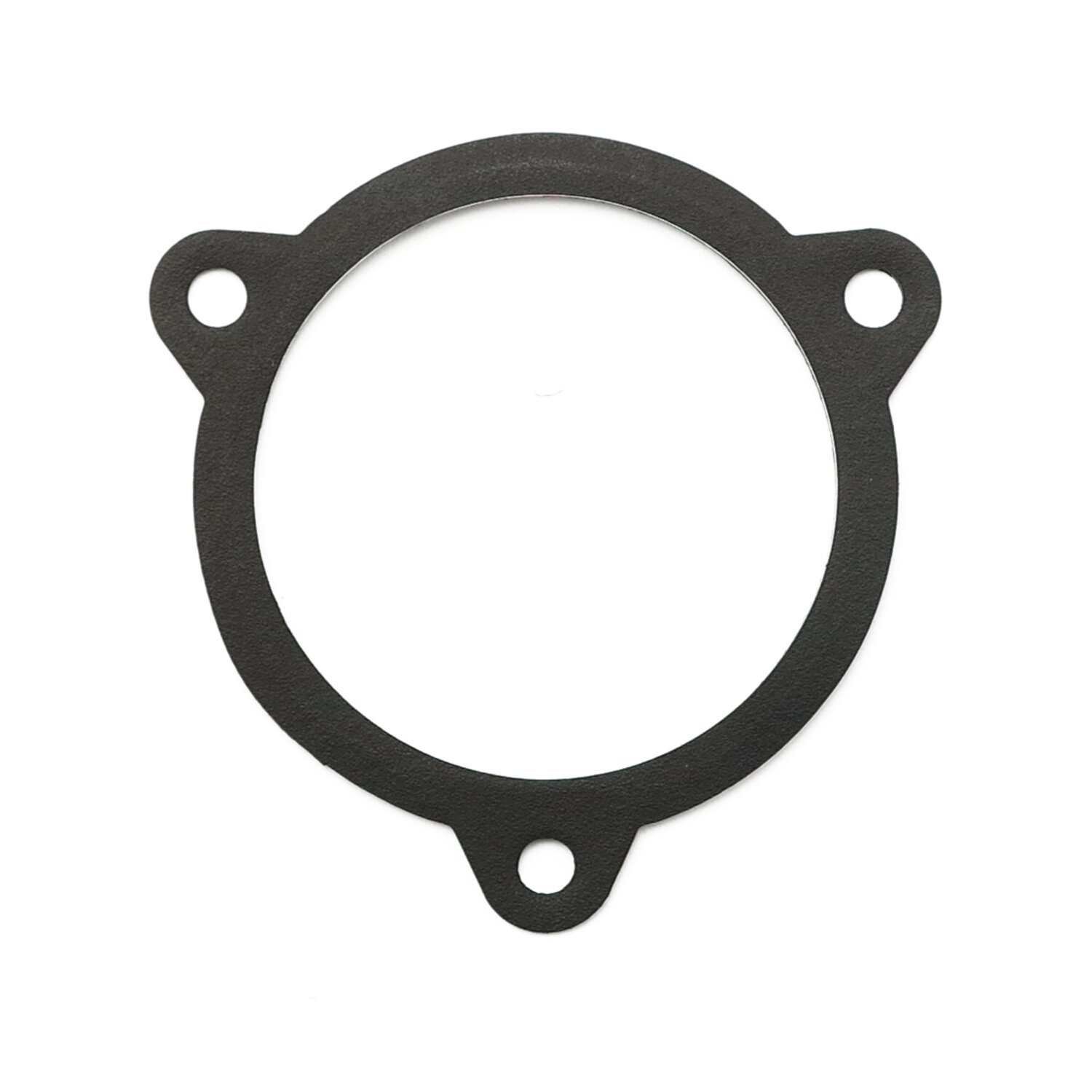 James, throttle body/filter to air cleaner housing gasket