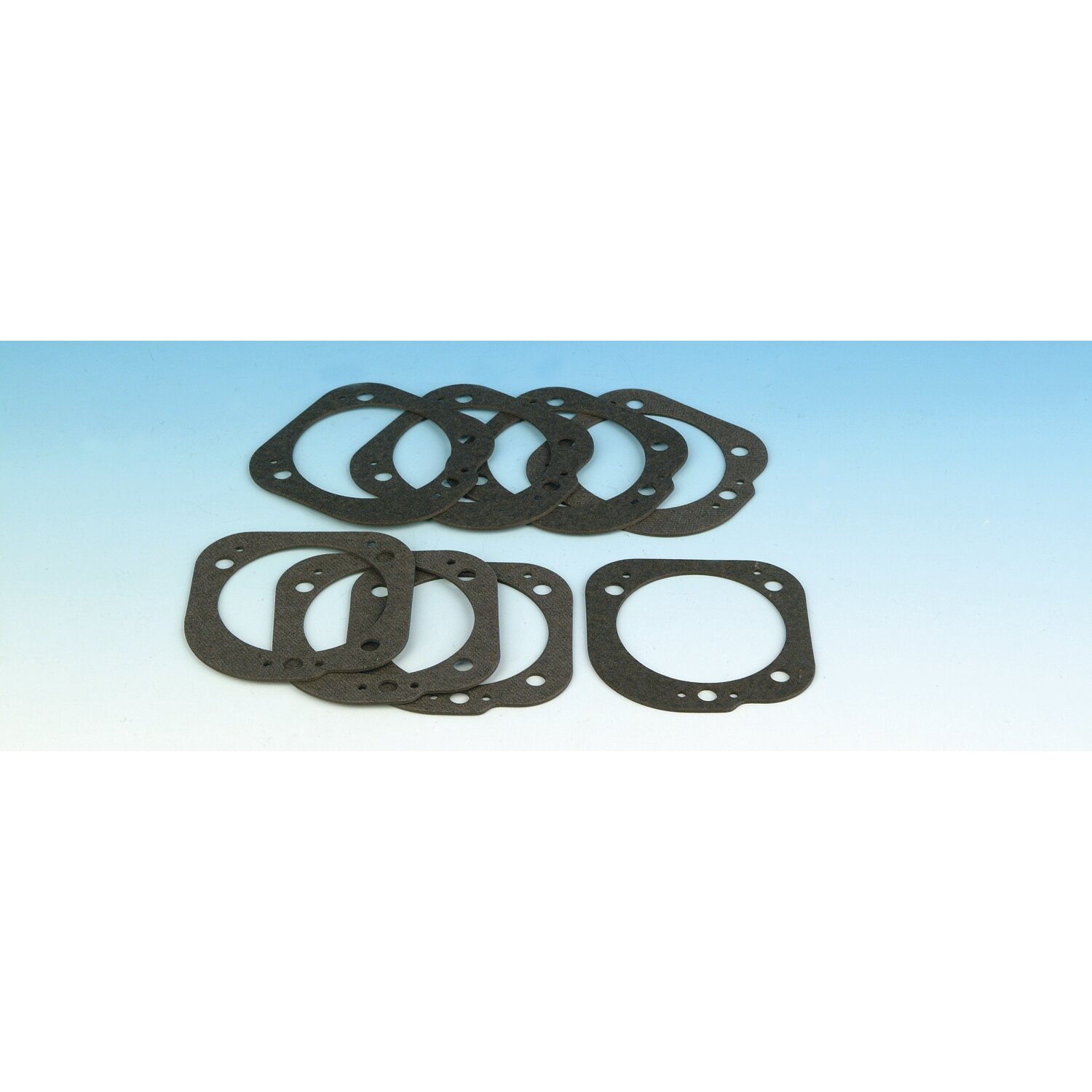 James, carb/throttle body to air cleaner housing gasket