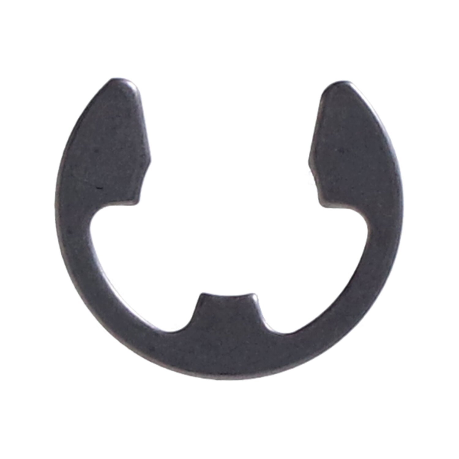 Retaining ring, pivot bolt swingarm