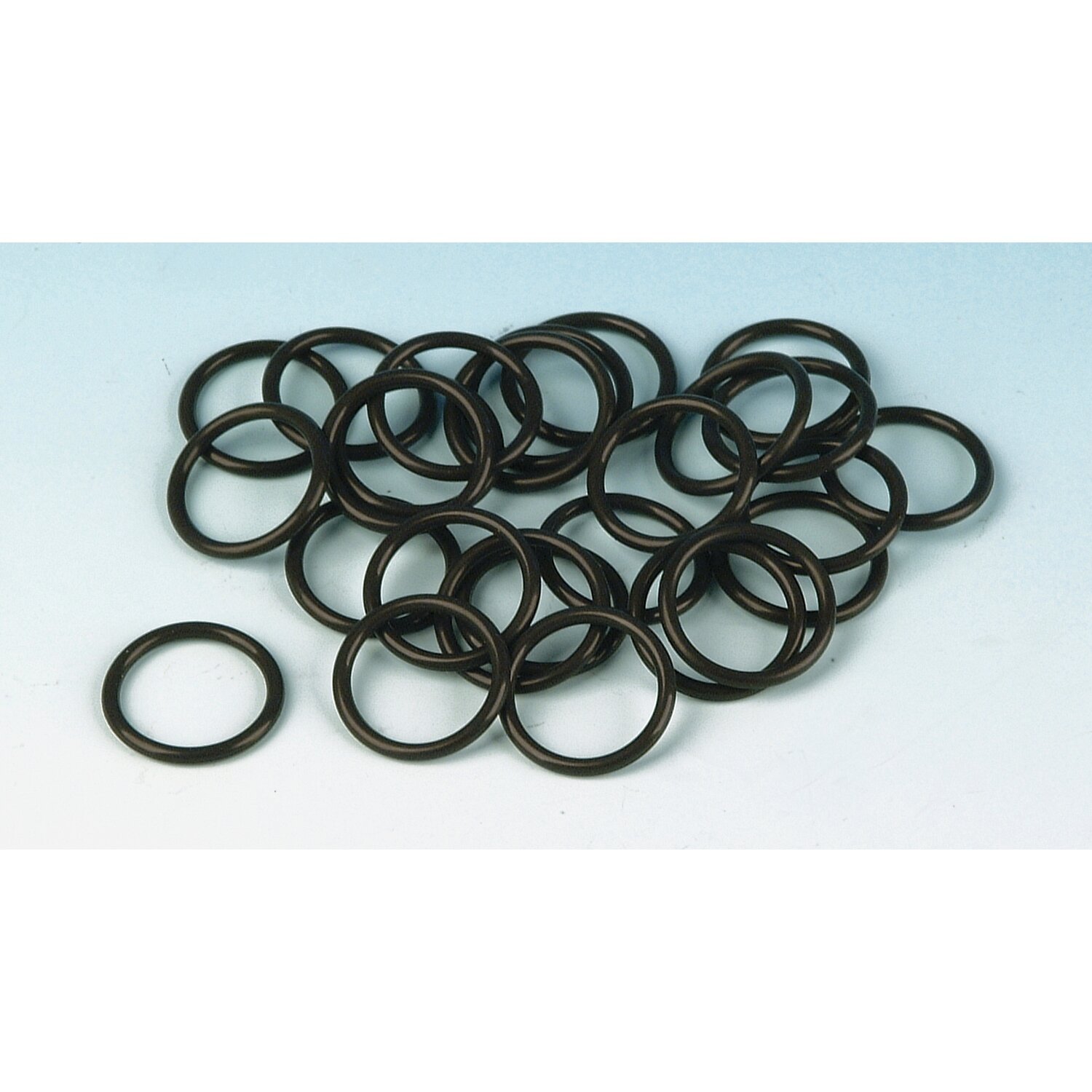 James, crankshaft position sensor/air control o-ring