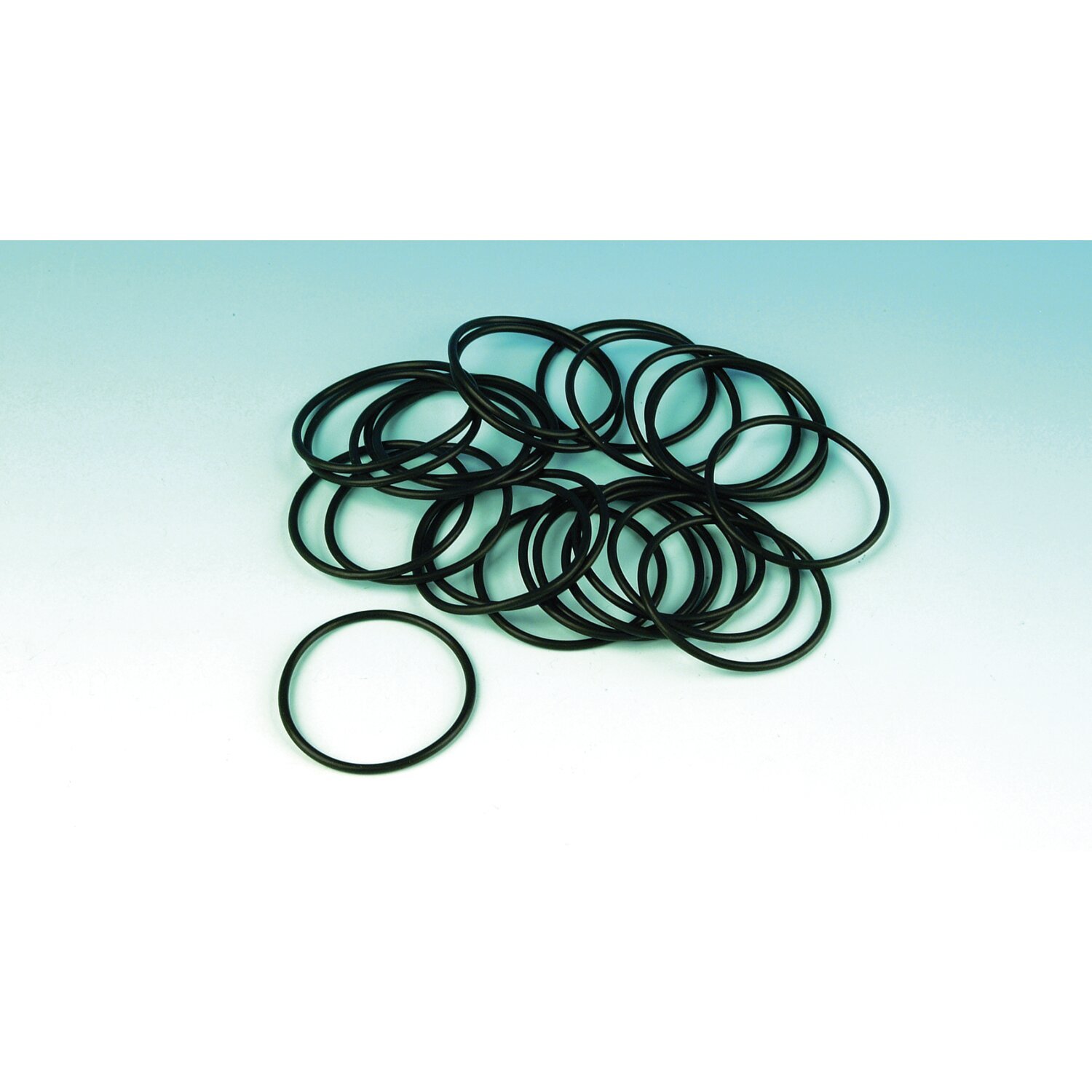 James, o-ring filler / chain inspection cap primary