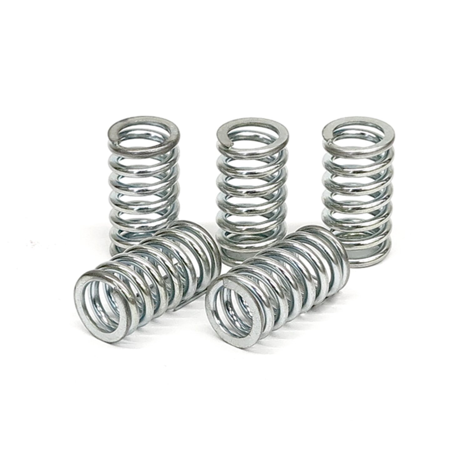 TRW clutch spring kit