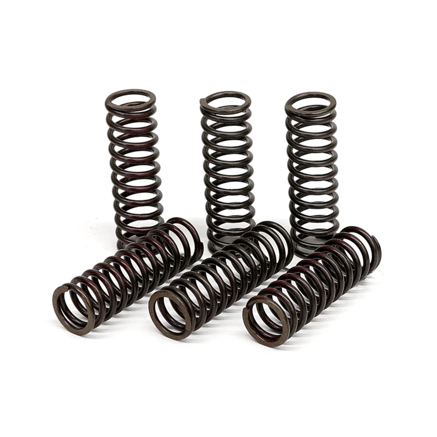 TRW clutch spring kit