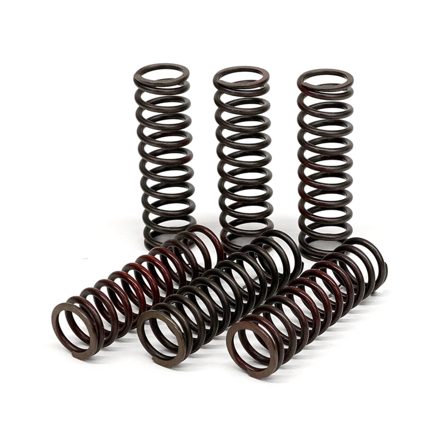 TRW clutch spring kit