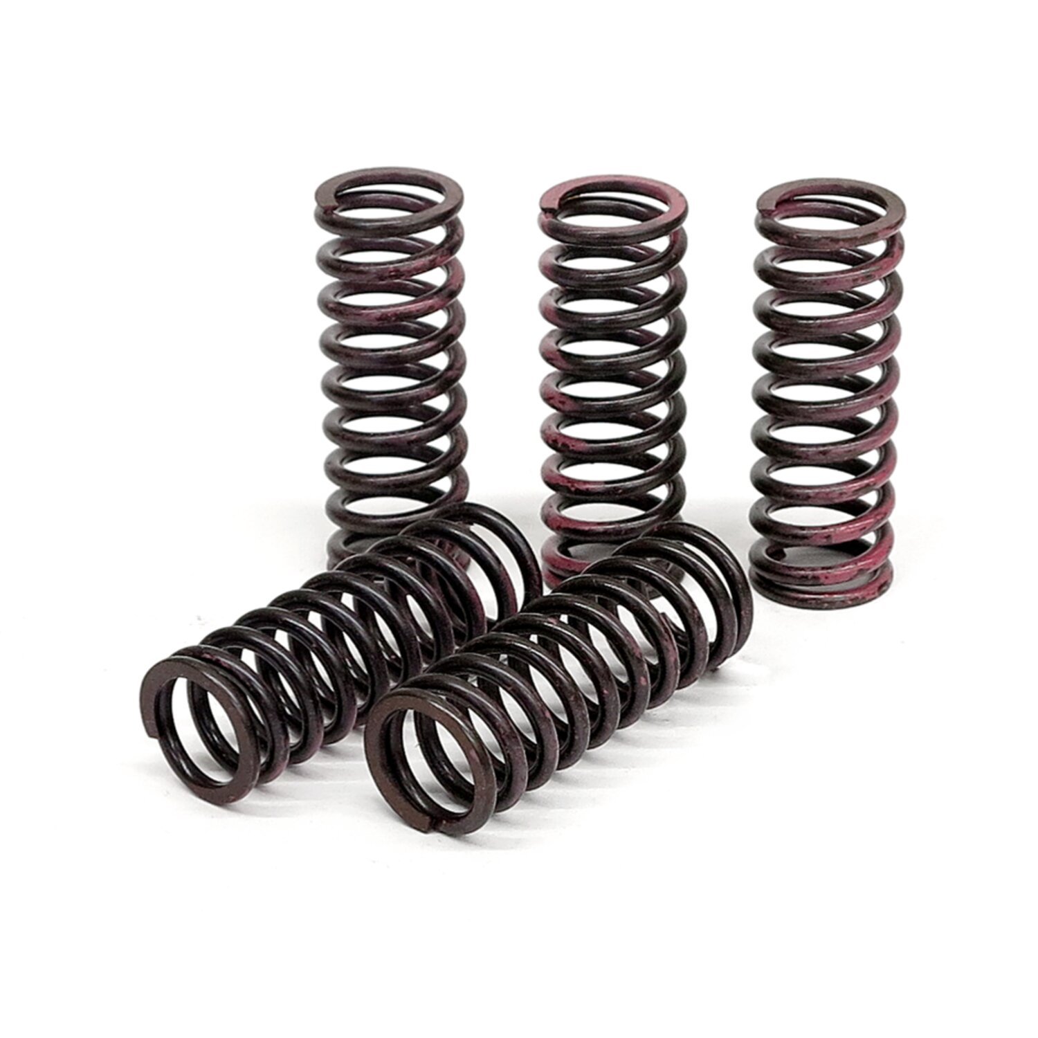 TRW clutch spring kit