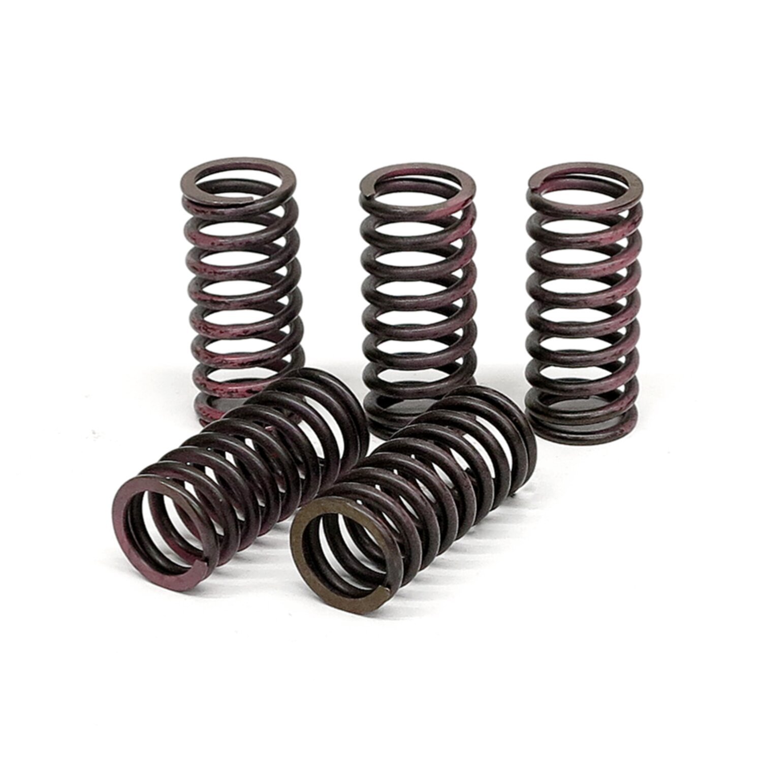 TRW clutch spring kit