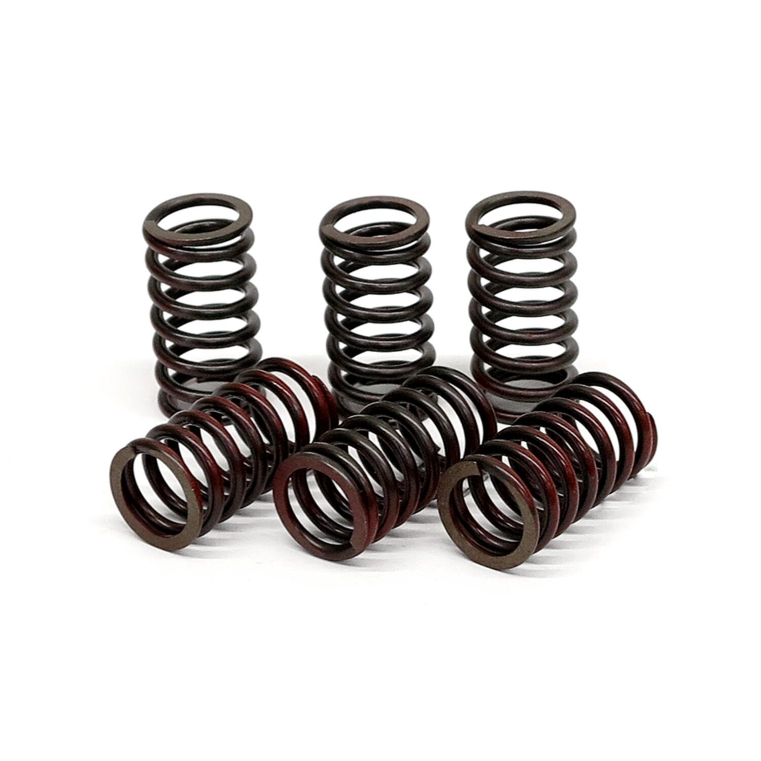 TRW clutch spring kit