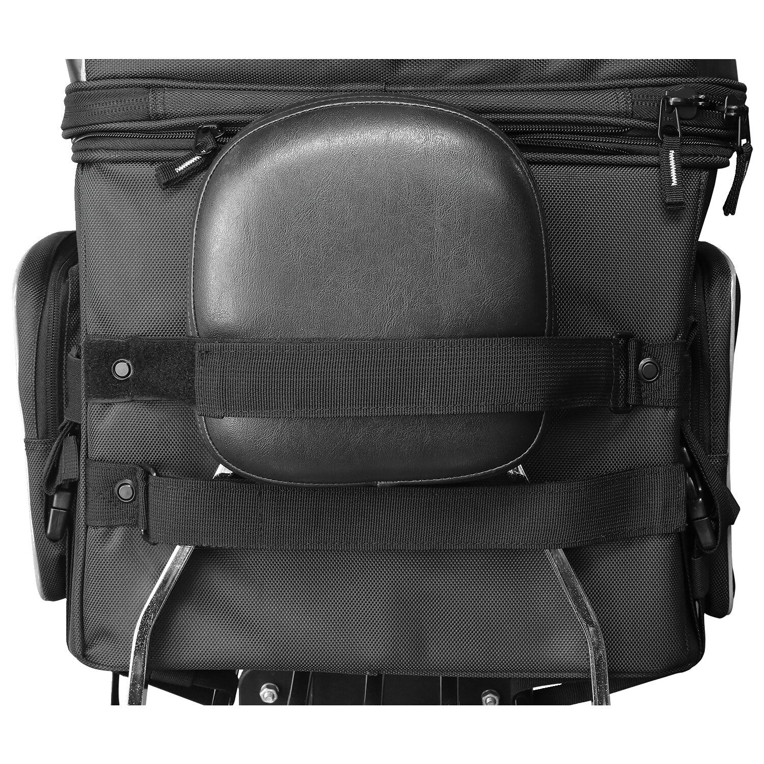 Nelson Rigg, Route 1 Rover pet carrier