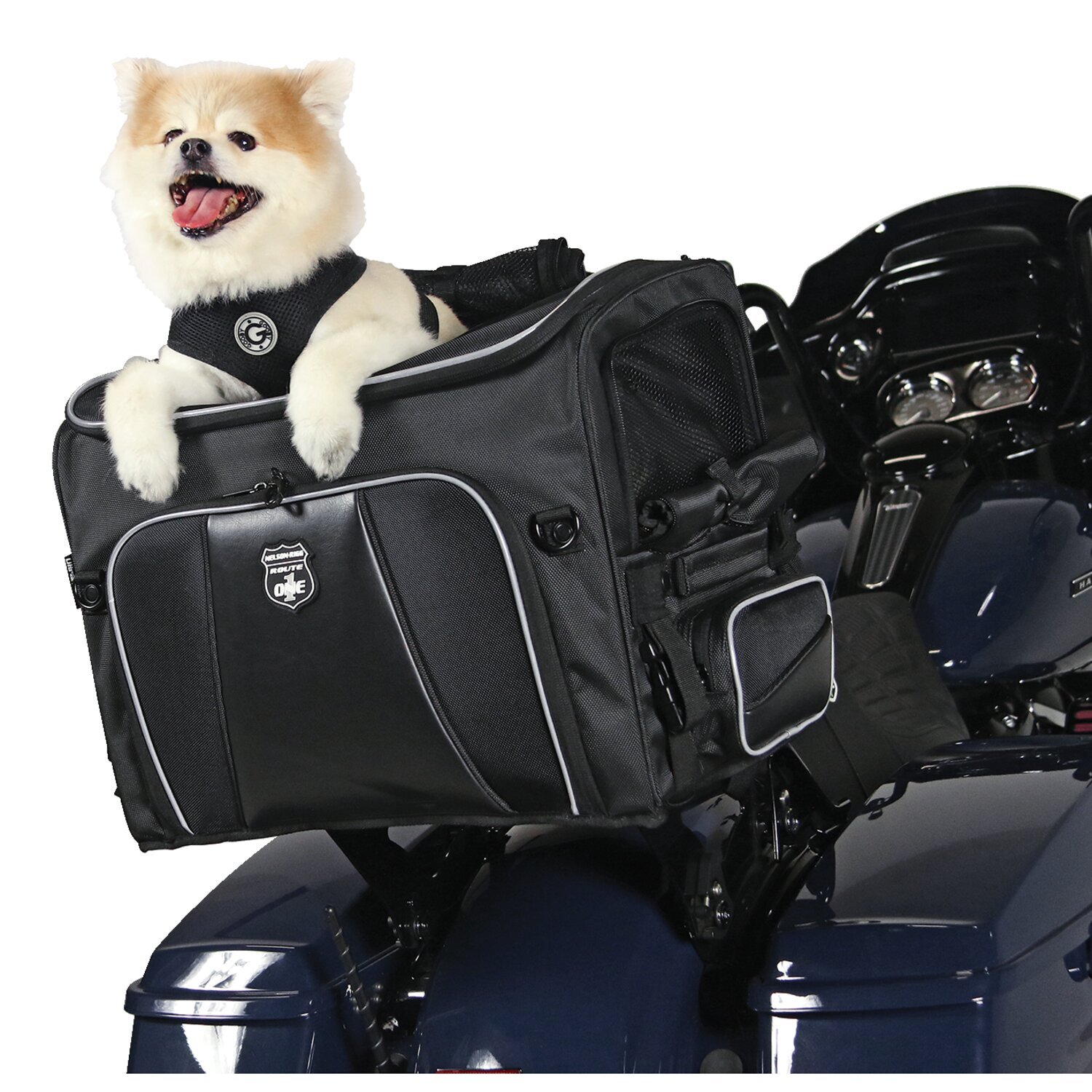 Nelson Rigg, Route 1 Rover pet carrier