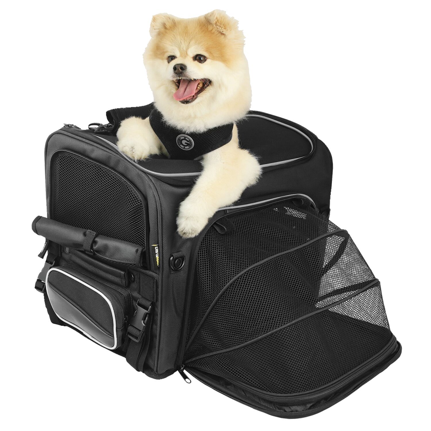 Nelson Rigg, Route 1 Rover pet carrier