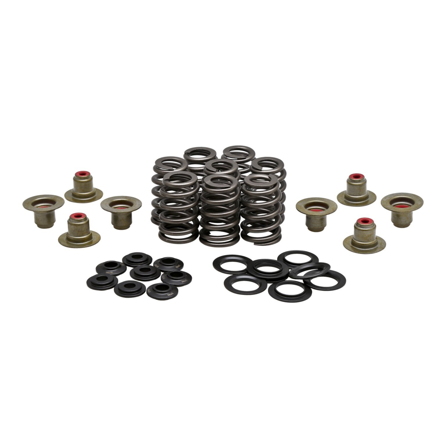 KPMI, .550" high lift valve spring kit