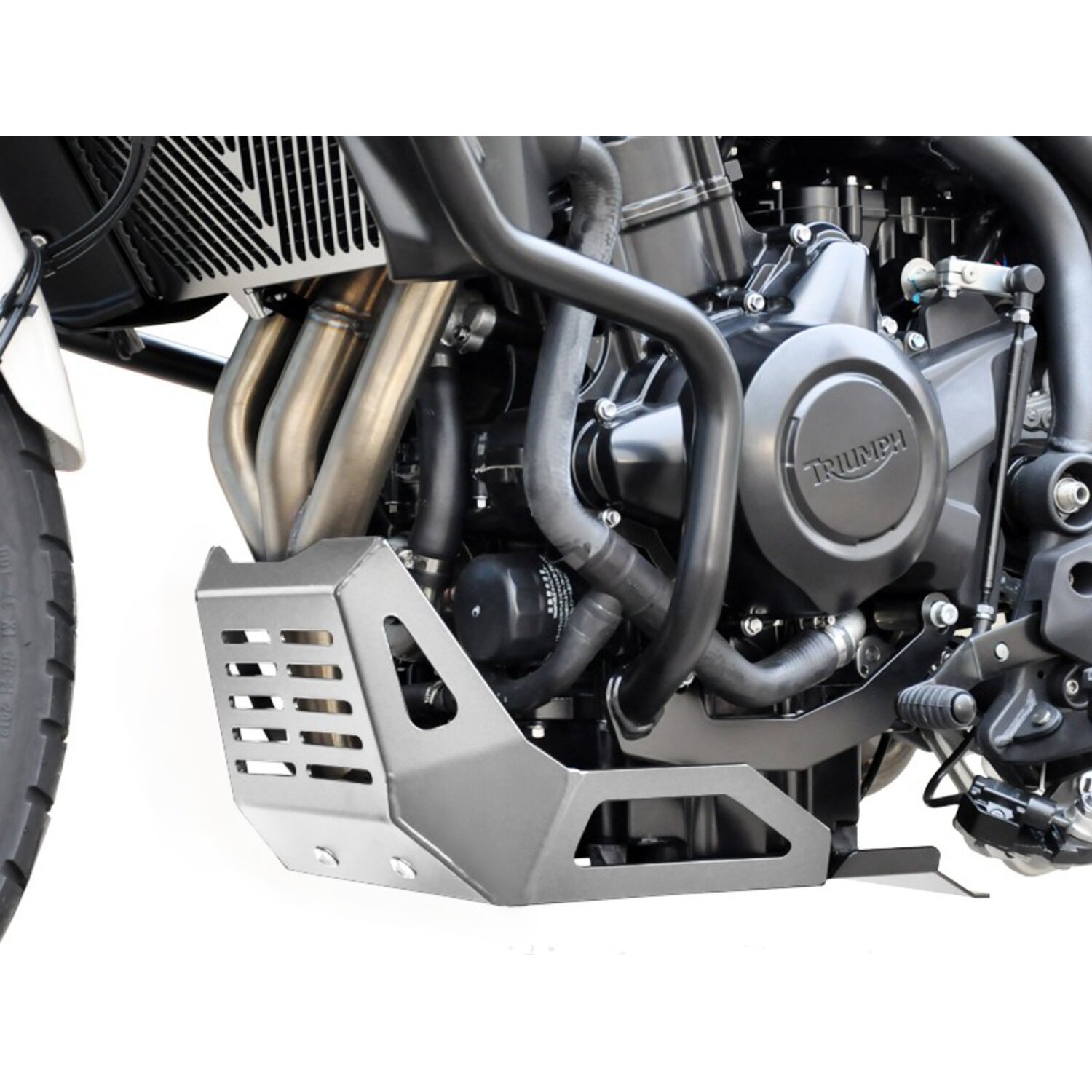 Zieger engine guard, Silver
