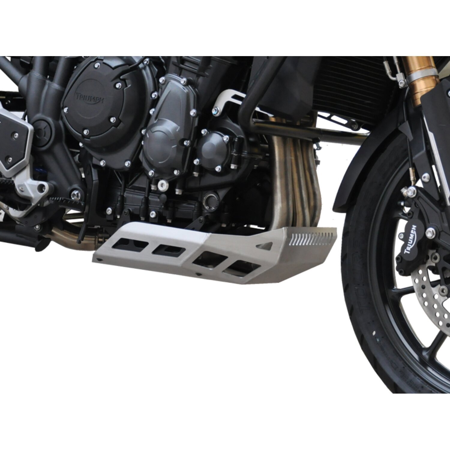 Zieger engine guard, Silver, Matte