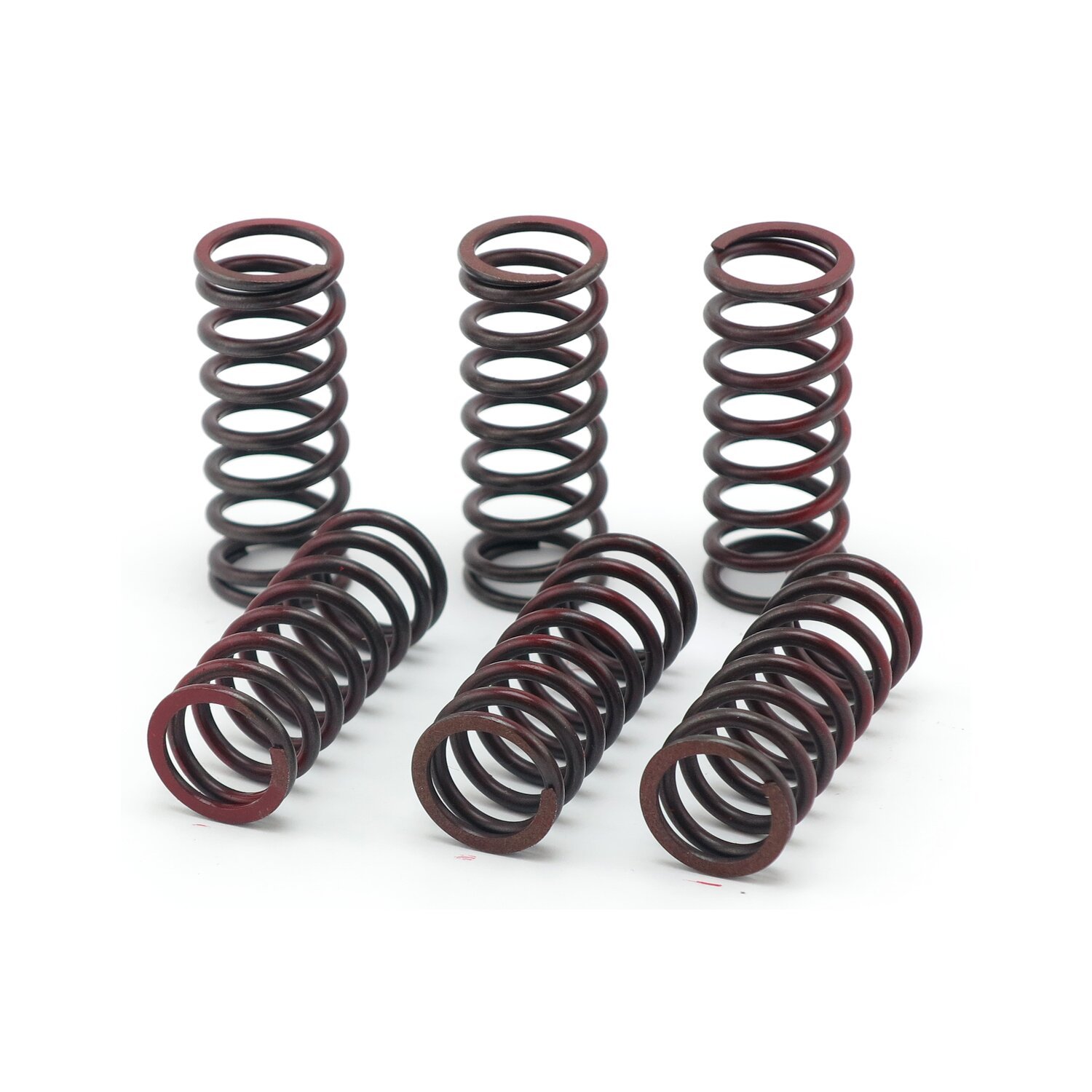 TRW clutch spring kit