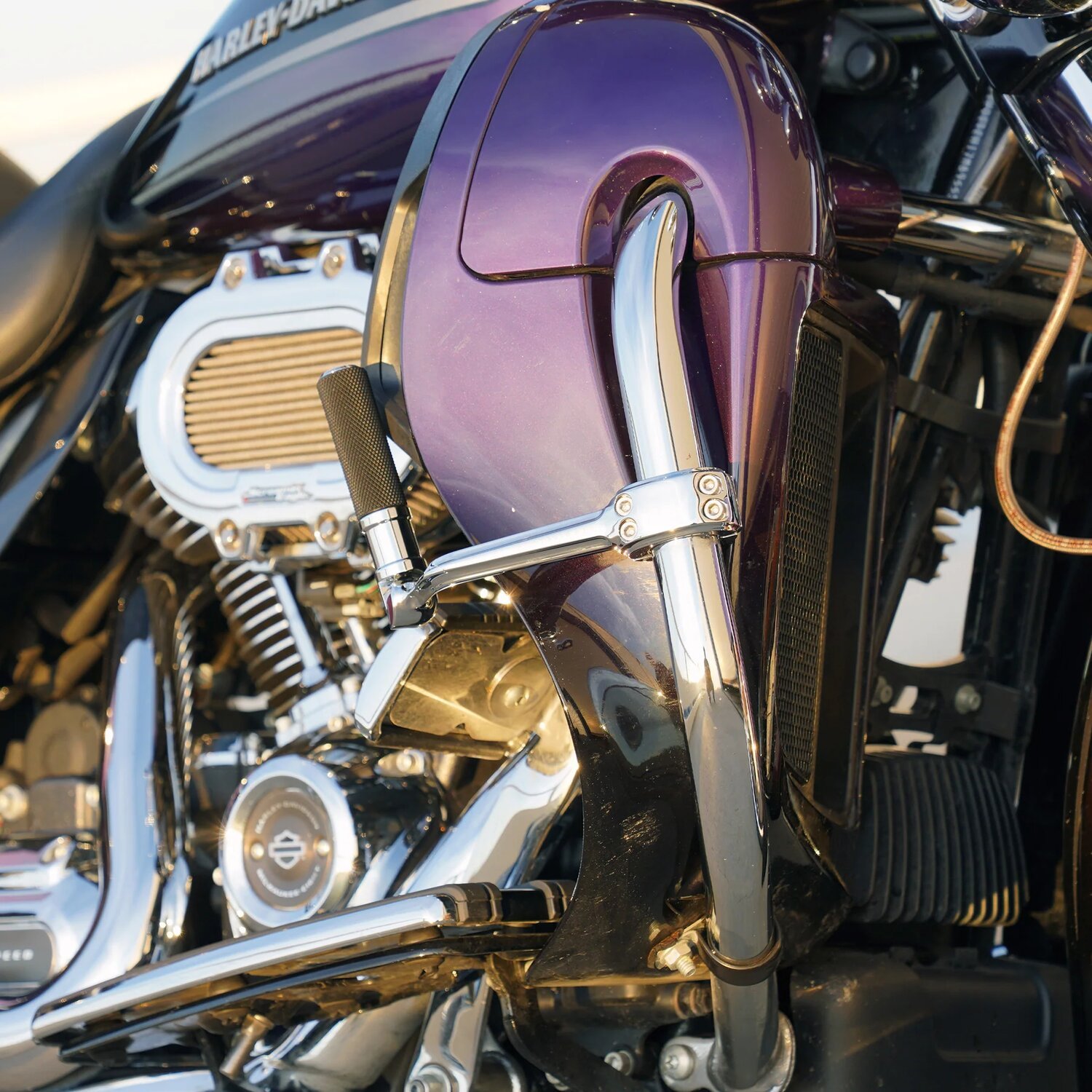 Arlen Ness, forged highway peg mounts. With pegs, Chrome