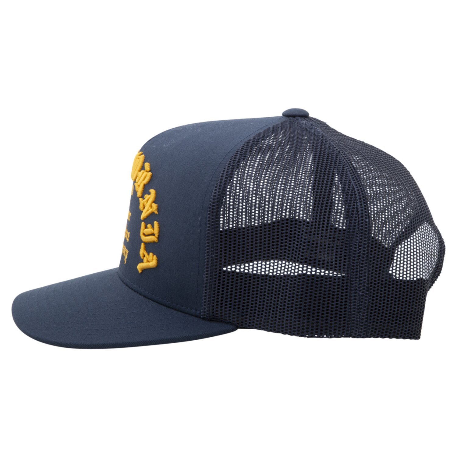 loser Machine Fanatic cap navy