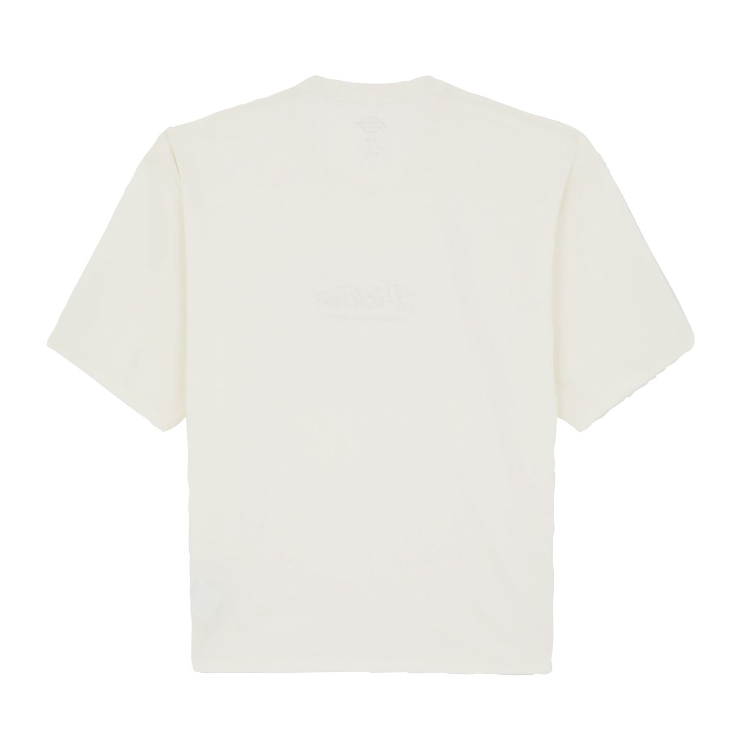 Dickies Lewistown Embro t-shirt, egret White, 2XL