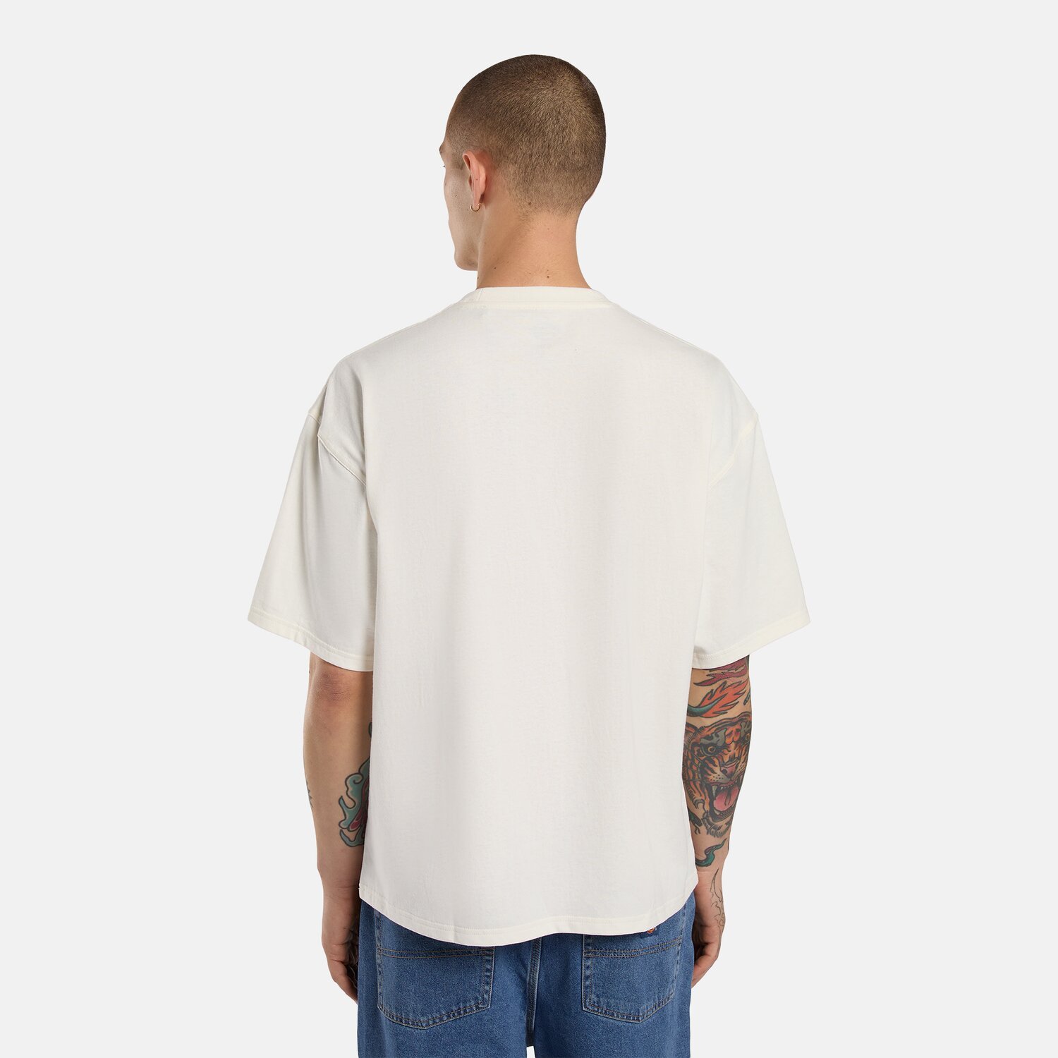 Dickies Lewistown Embro t-shirt, egret White, 2XL