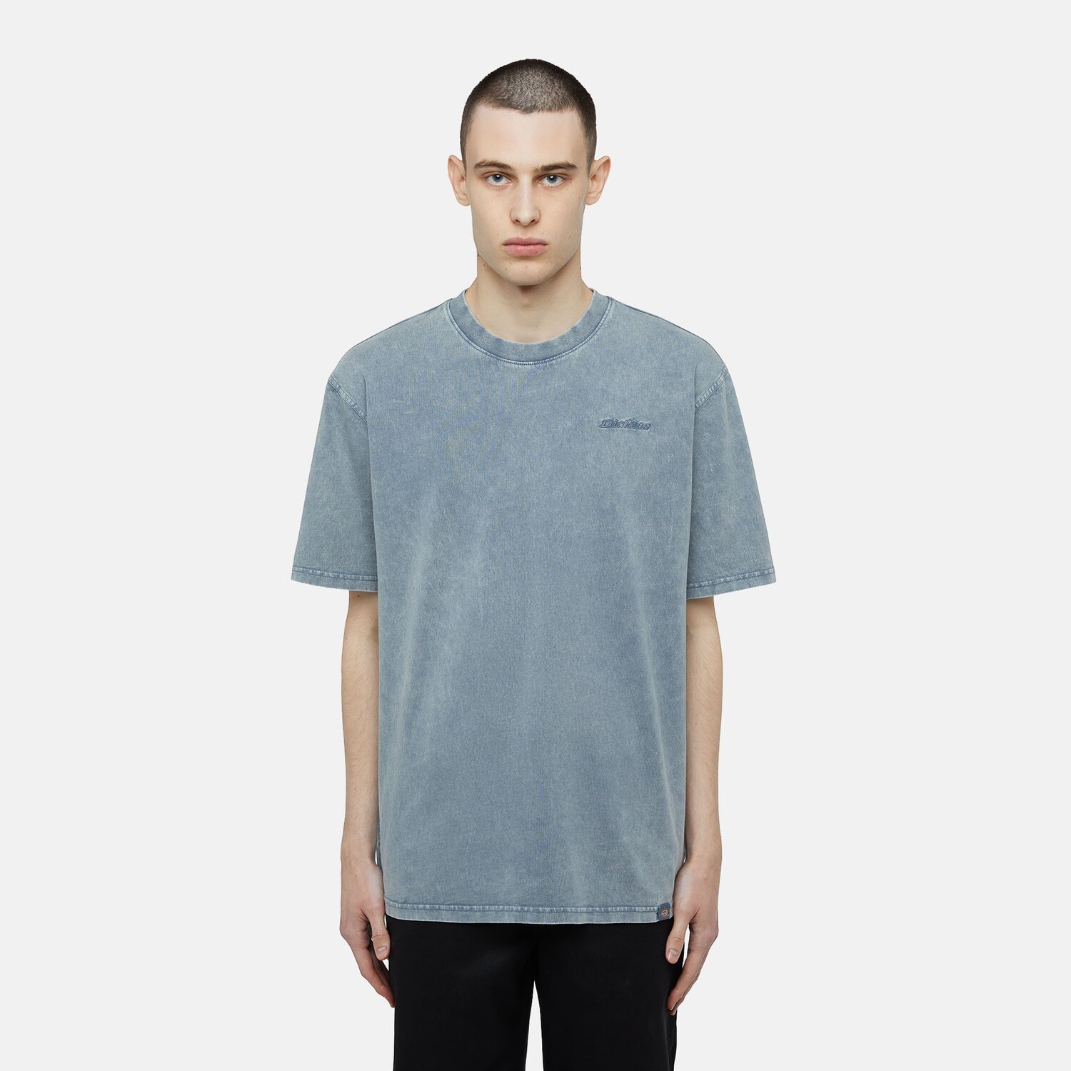 Dickies Plentywood t-shirt stormy weather, Blue, S