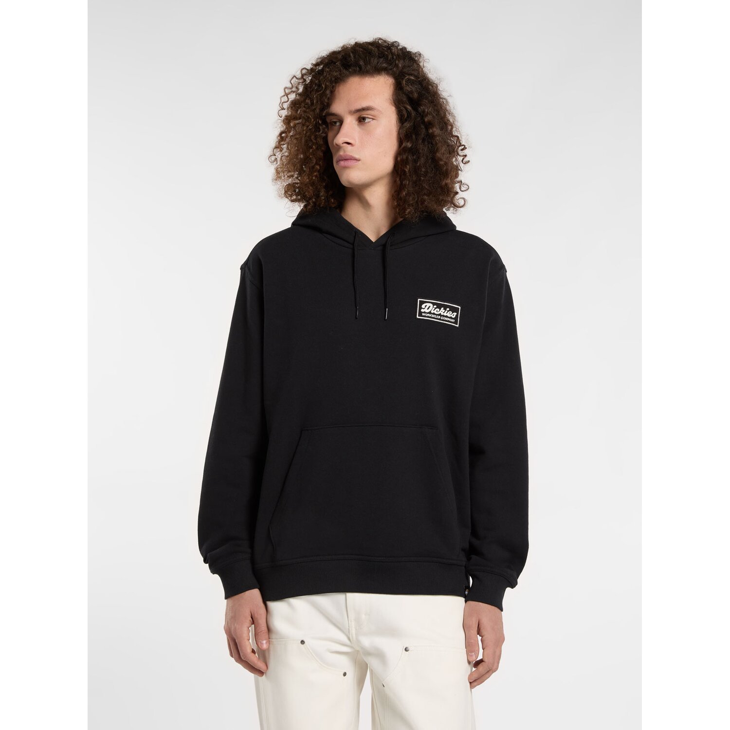 Dickies Lewistown hoodie black, S