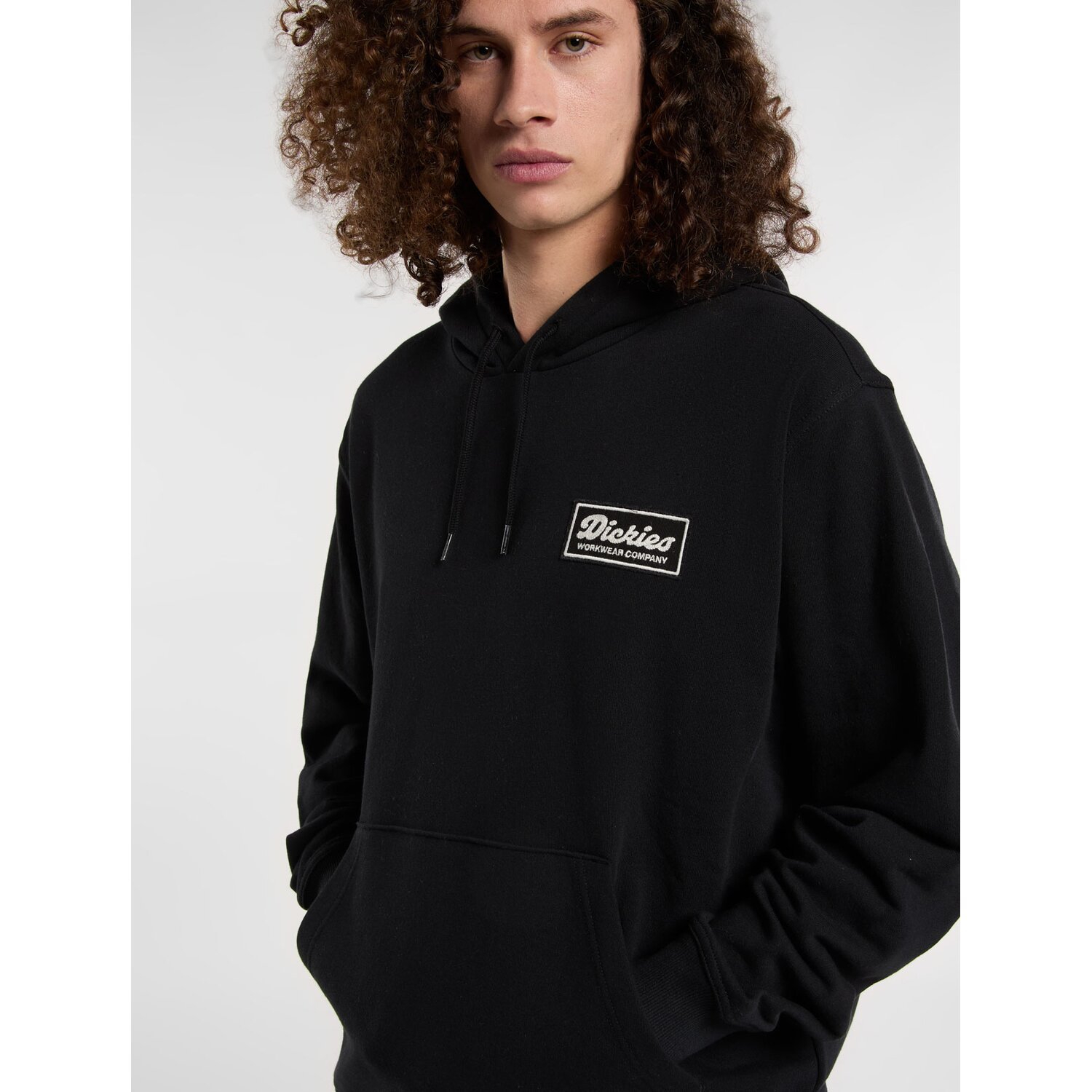Dickies Lewistown hoodie black, S