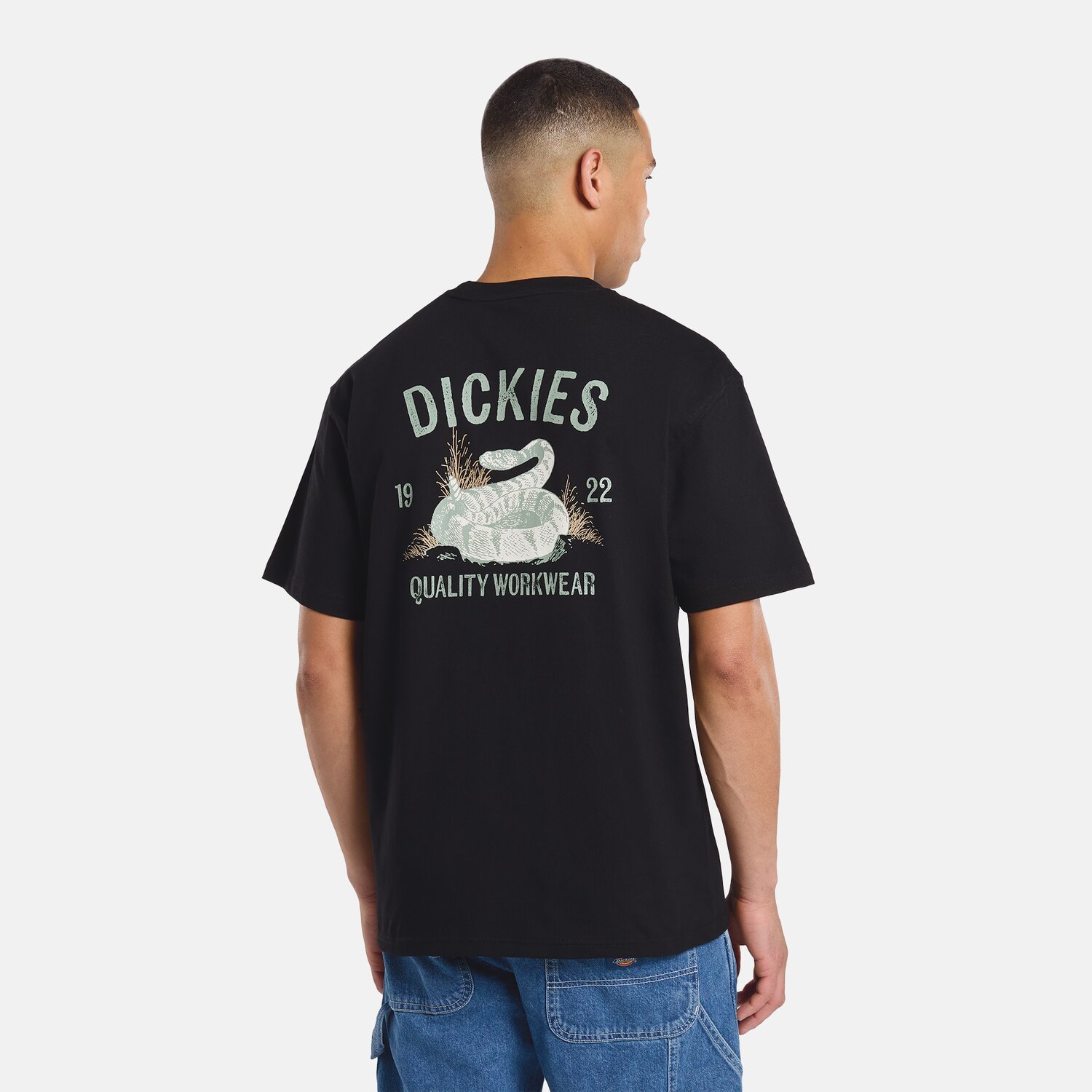Dickies Snake t-shirt, Black, S
