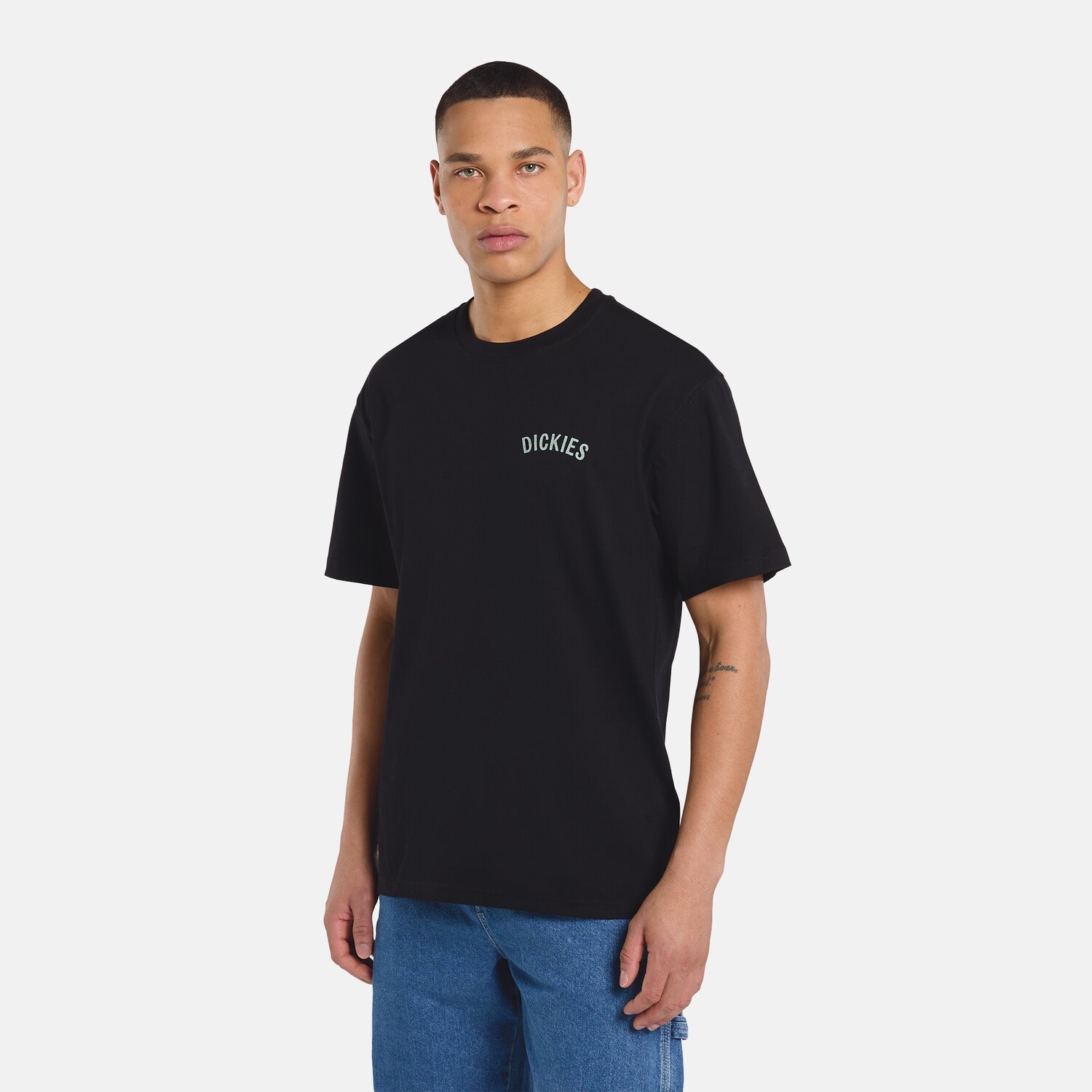 Dickies Snake t-shirt, Black, S