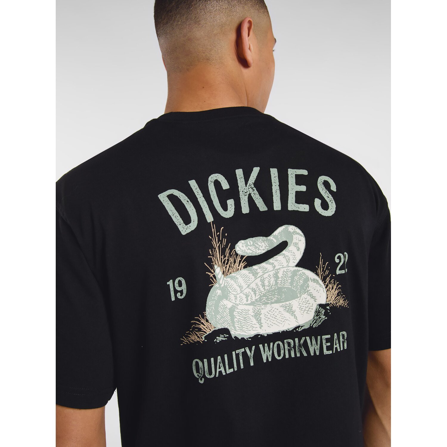 Dickies Snake t-shirt, Black, S