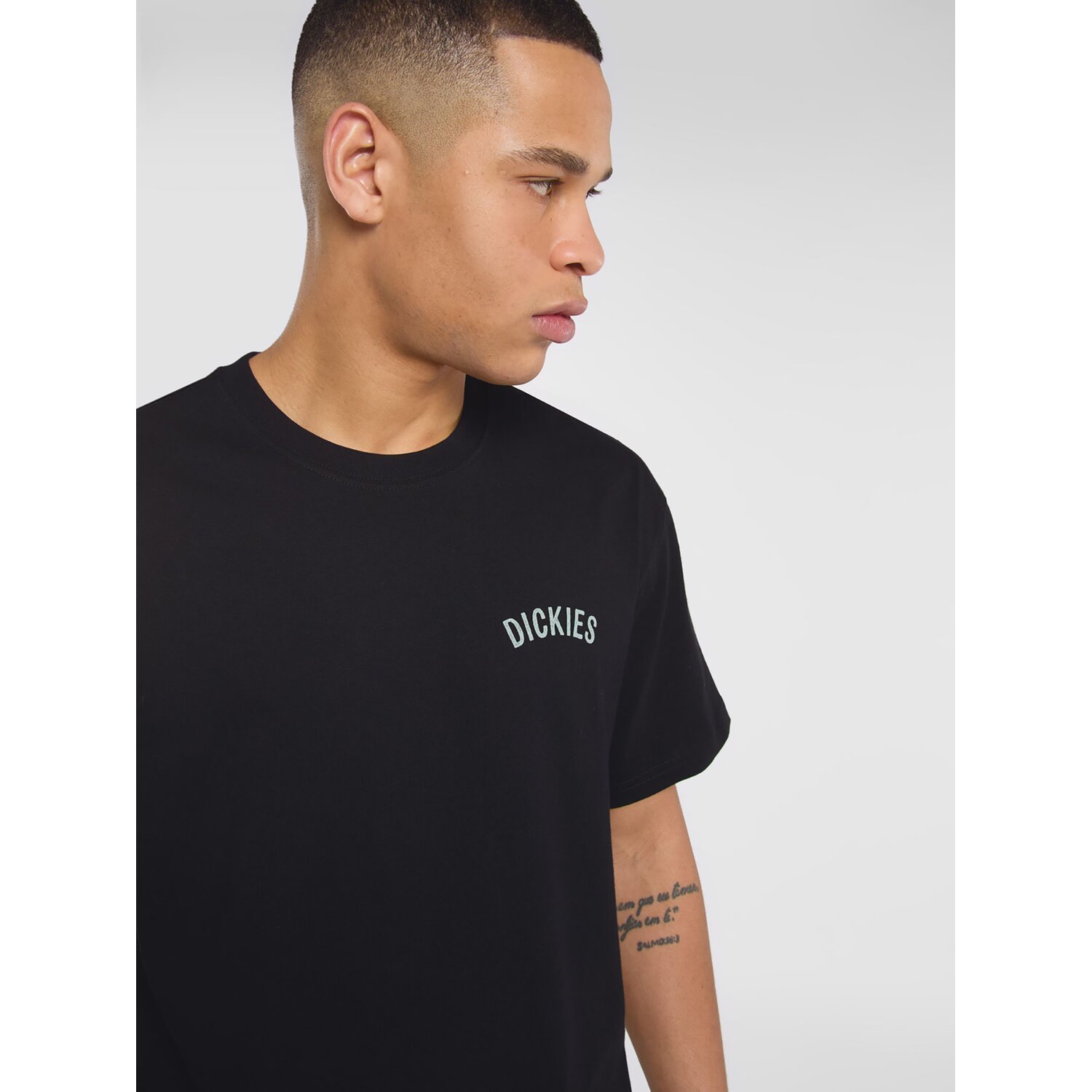 Dickies Snake t-shirt, Black, S