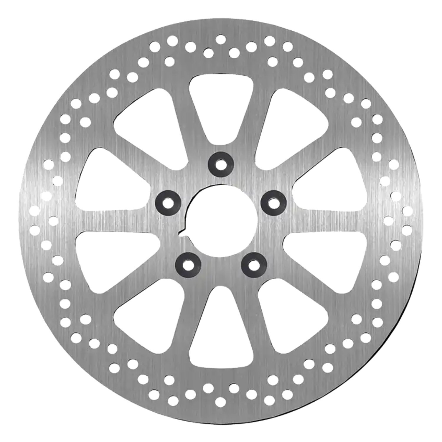 SBS, '10-Spoke Rigid' brake rotor 300mm. Rear. 5mm thick