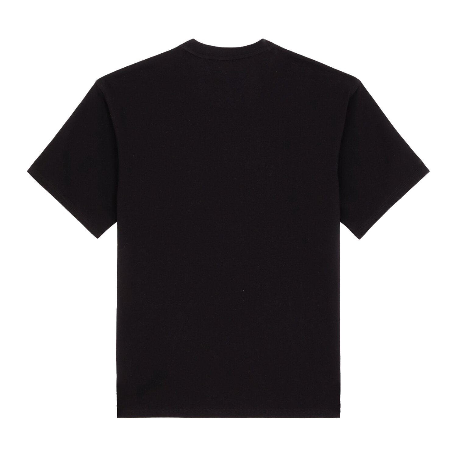 Dickies Clancy Heavyweight t-shirt