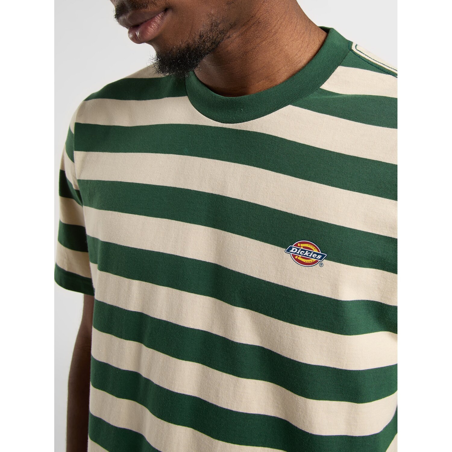 Dickies Rivergrove t-shirt pine needle green, S