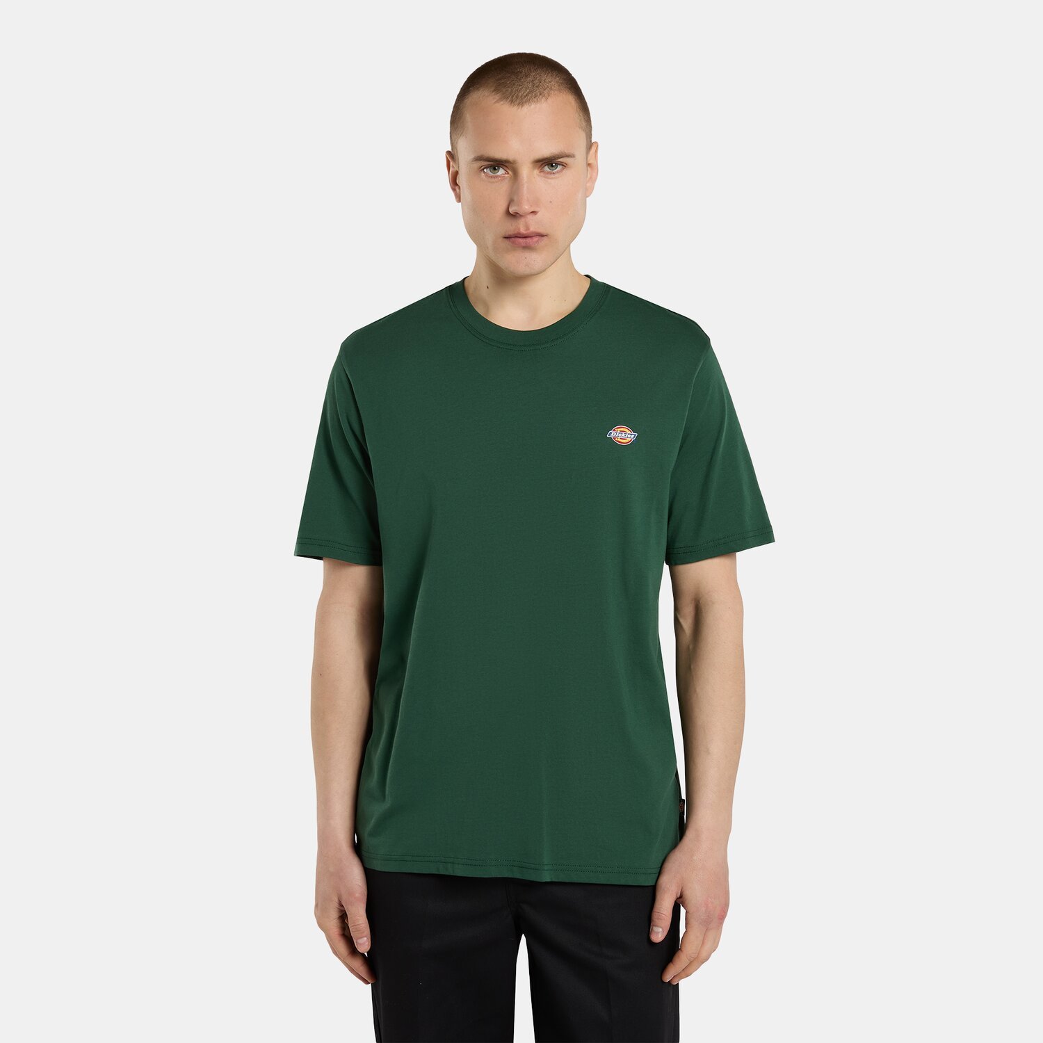 Dickies Mapleton t-shirt