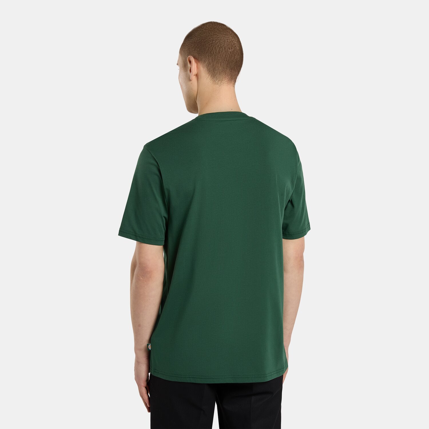 Dickies Mapleton t-shirt
