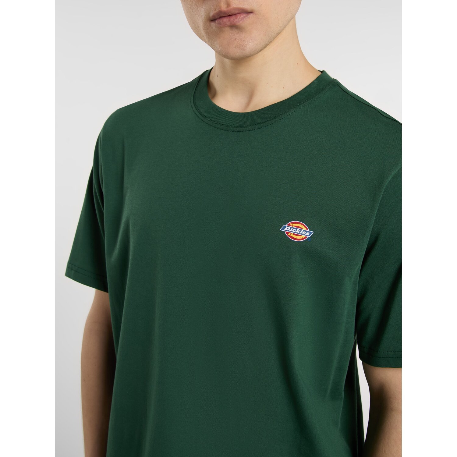 Dickies Mapleton t-shirt