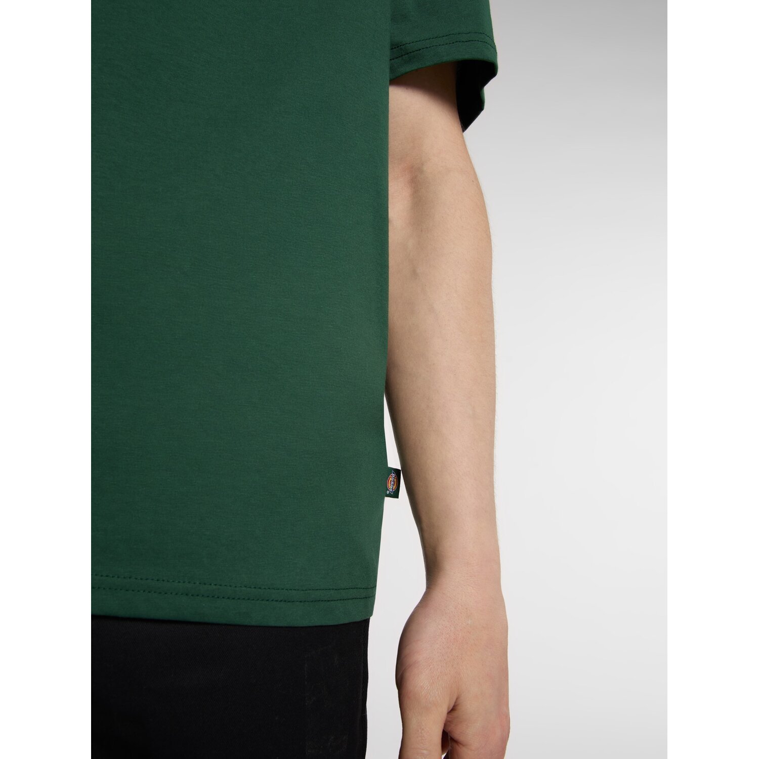 Dickies Mapleton t-shirt