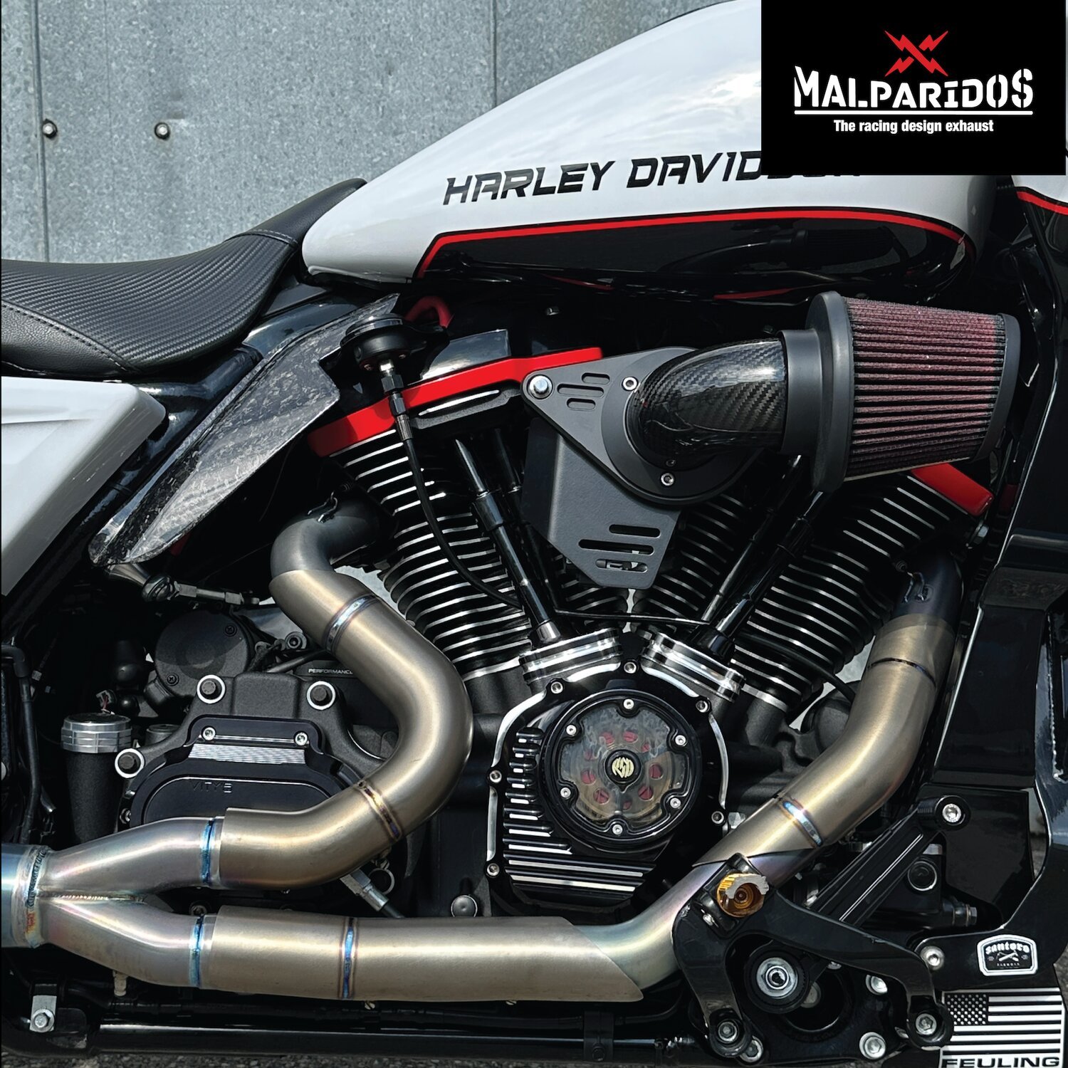 Malparidos, heat shields. Satin Race. Stainless